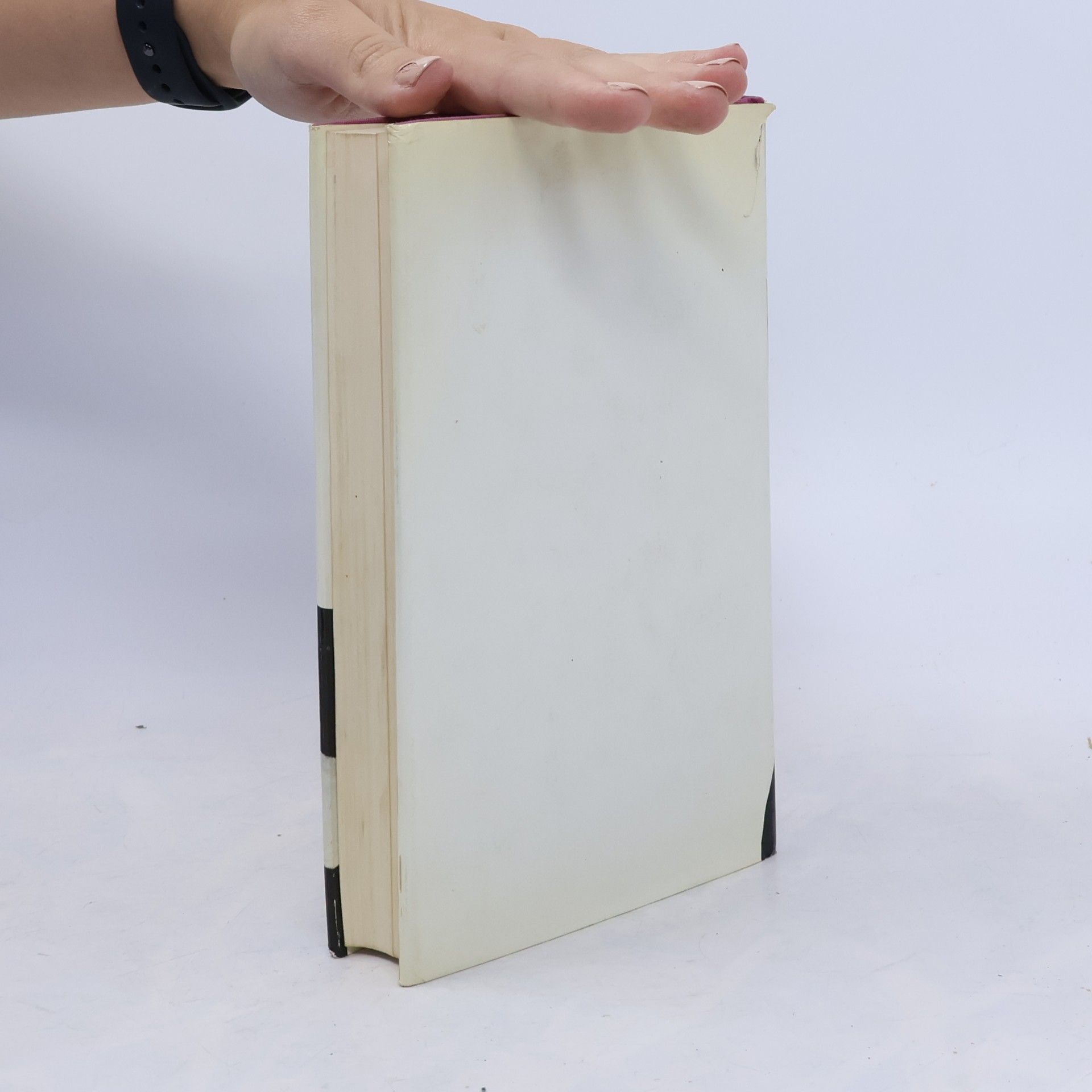 Heinz Erhardt Das große Heinz Erhardt Buch