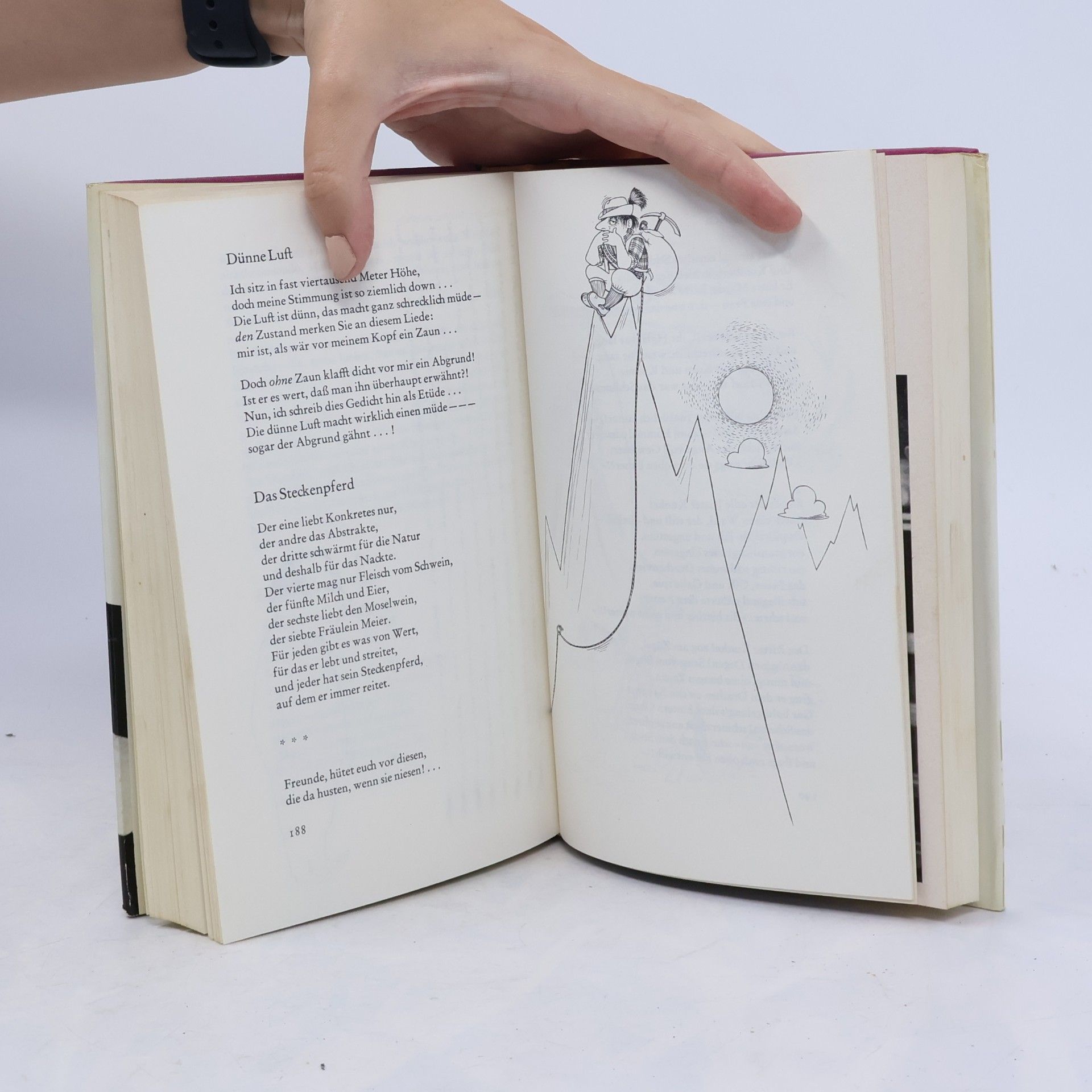 Heinz Erhardt Das große Heinz Erhardt Buch