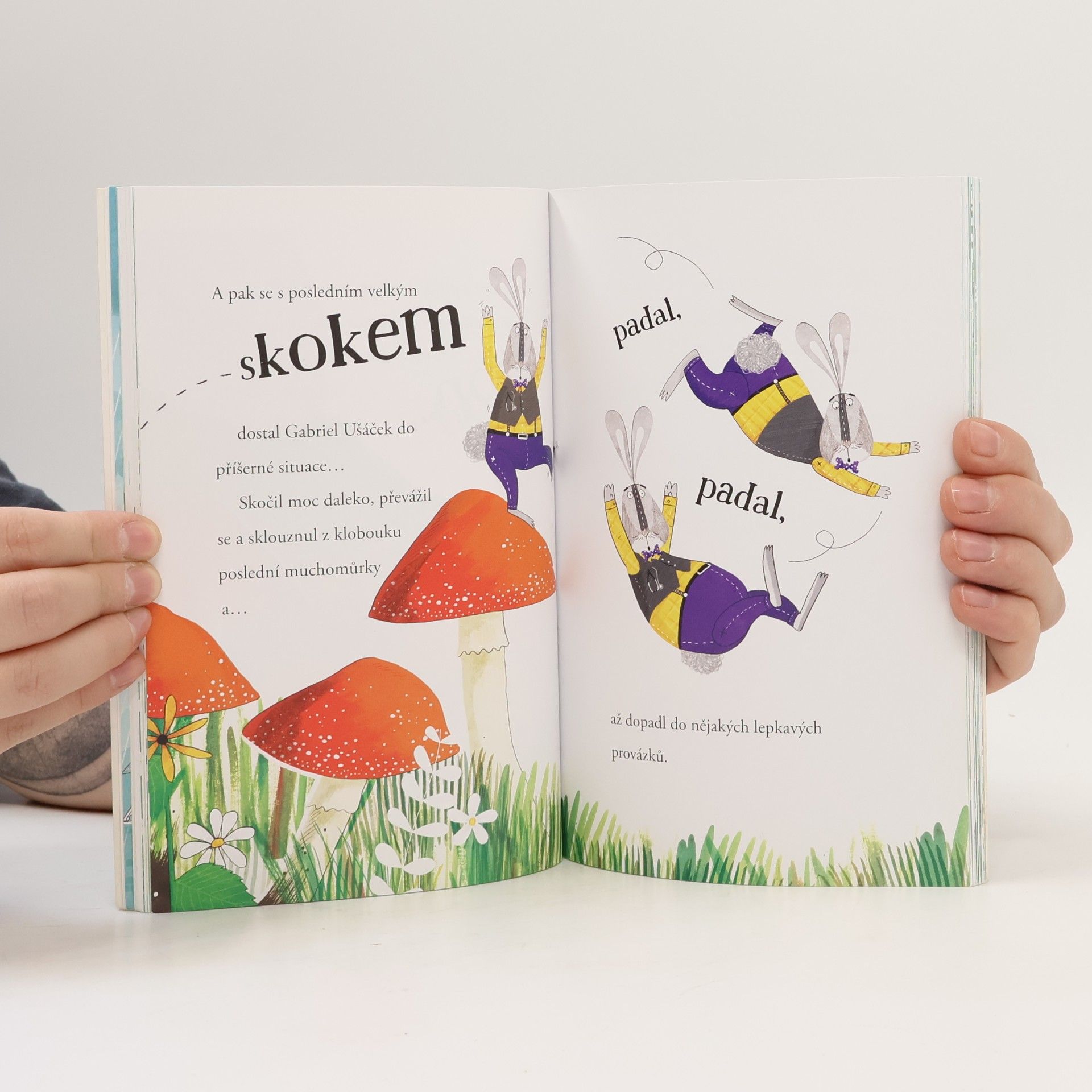 Hayley Scott Domeček v šálku: Seznamte se, Ušáčkovi