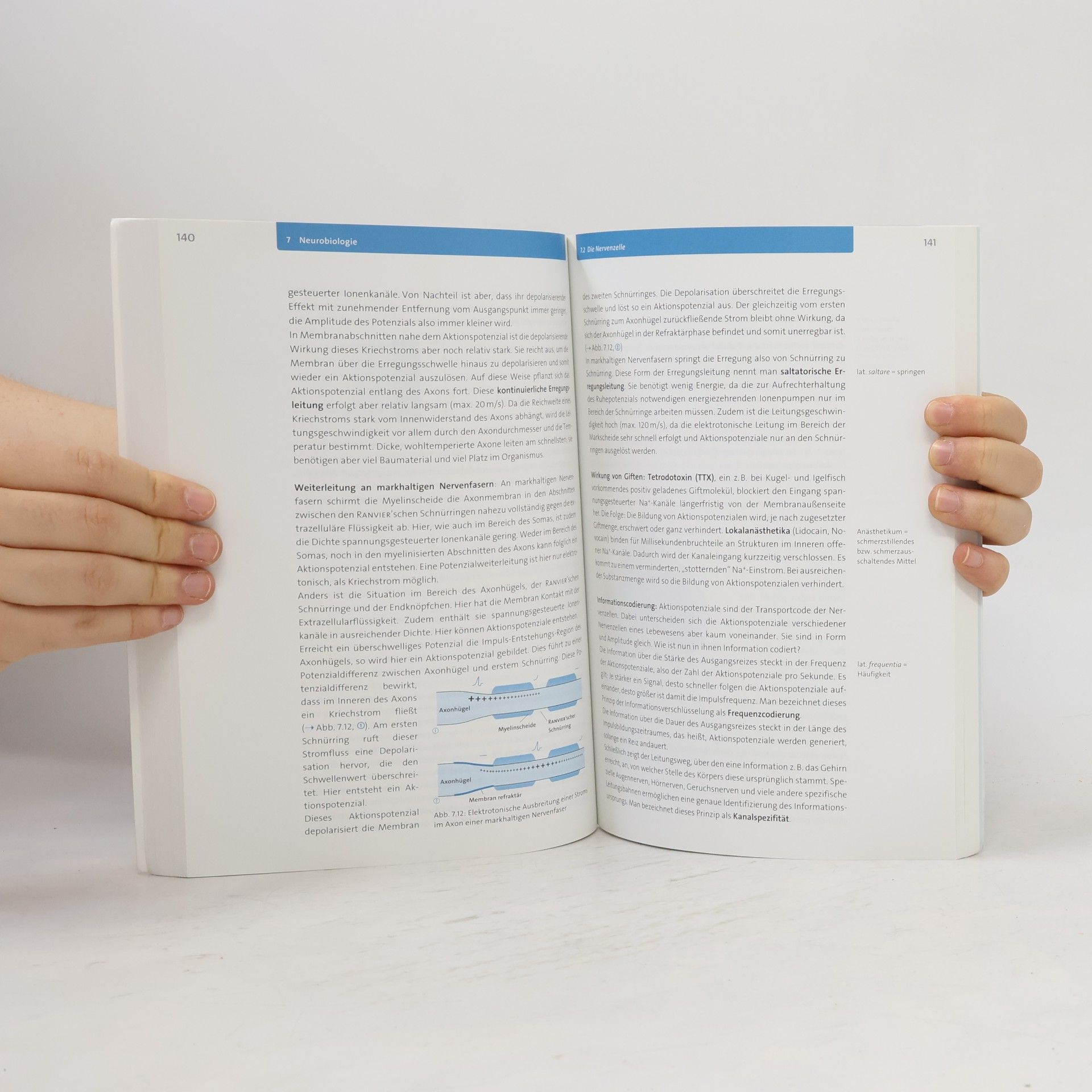 Michel Walory Fit fürs Abi. Biologie Oberstufenwissen