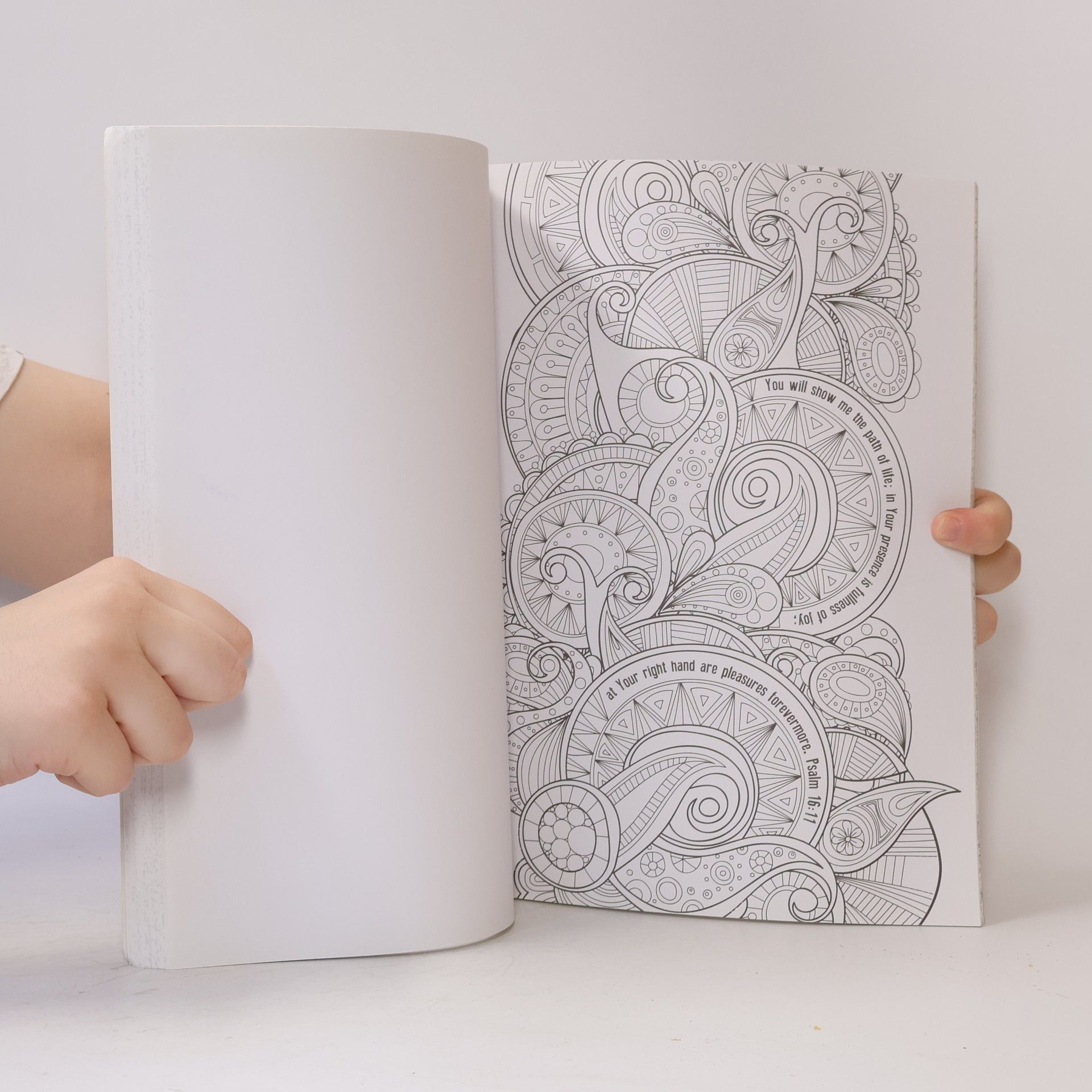 Collectif d'auteurs The Psalms In Color