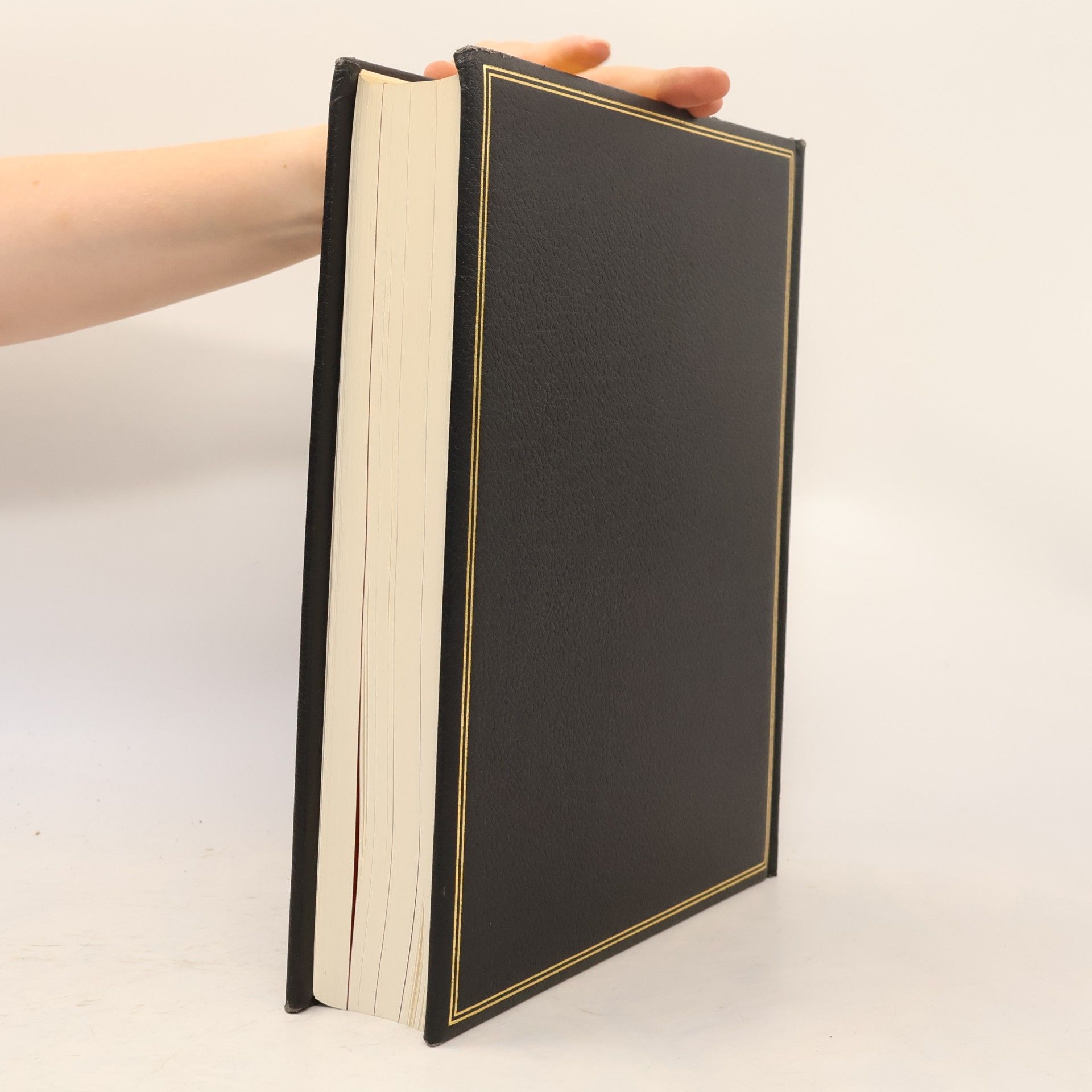 Stephan Schulte Brockhaus. Chronik des 20. Jahrhunderts. Band 14