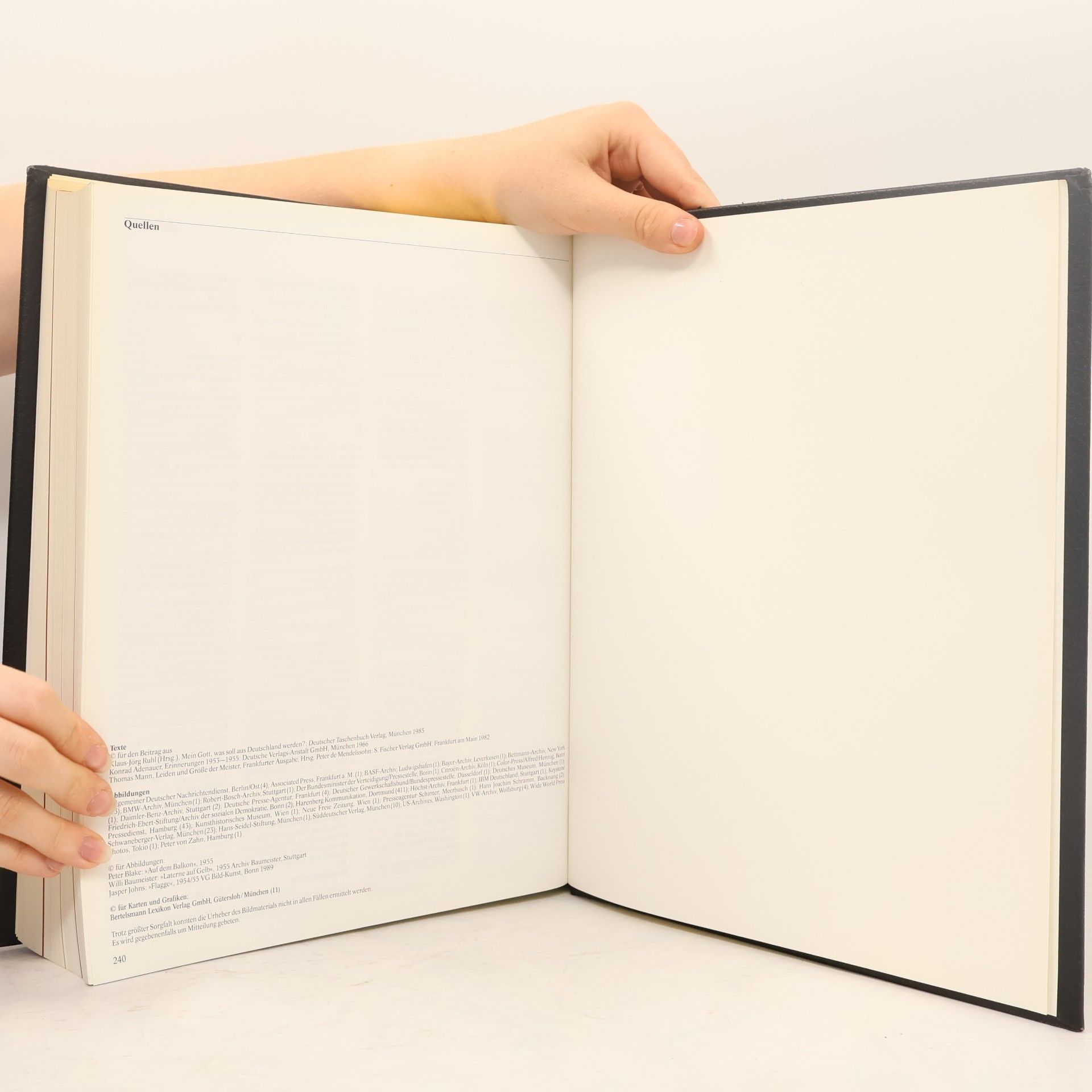 Stephan Schulte Brockhaus. Chronik des 20. Jahrhunderts. Band 14