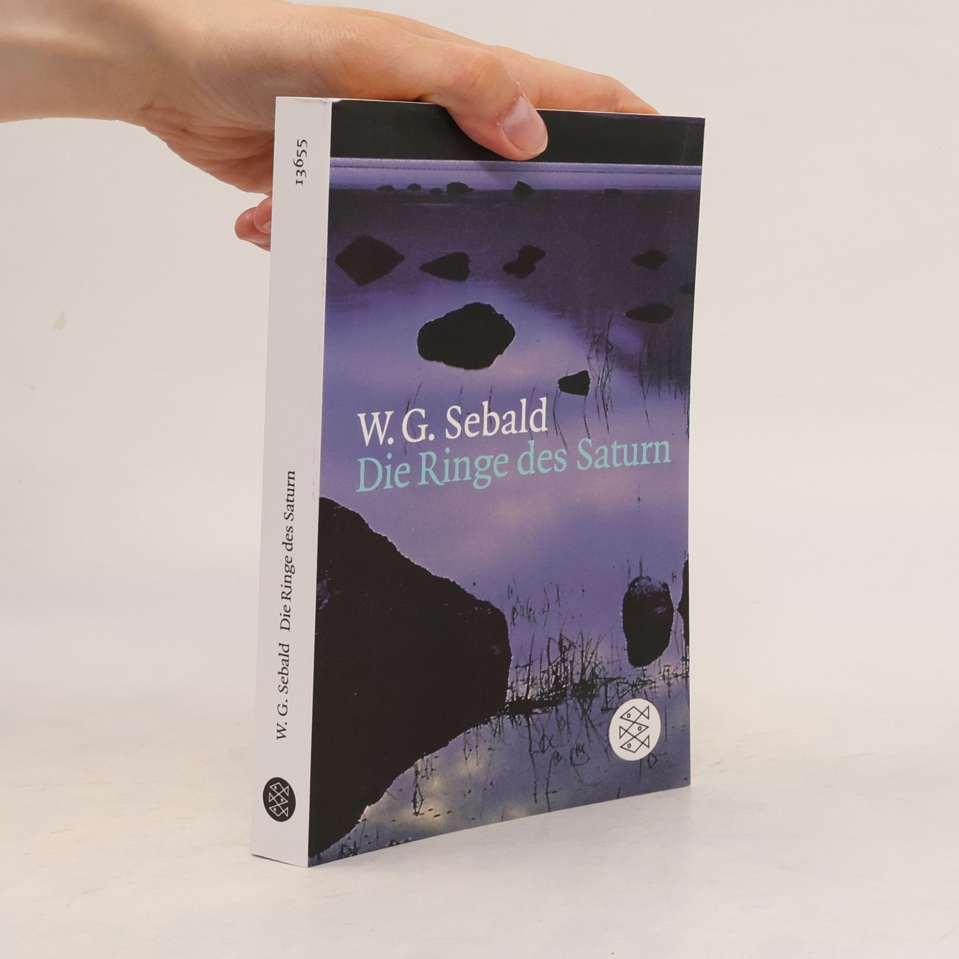 W. G. Sebald Die Ringe des Saturn