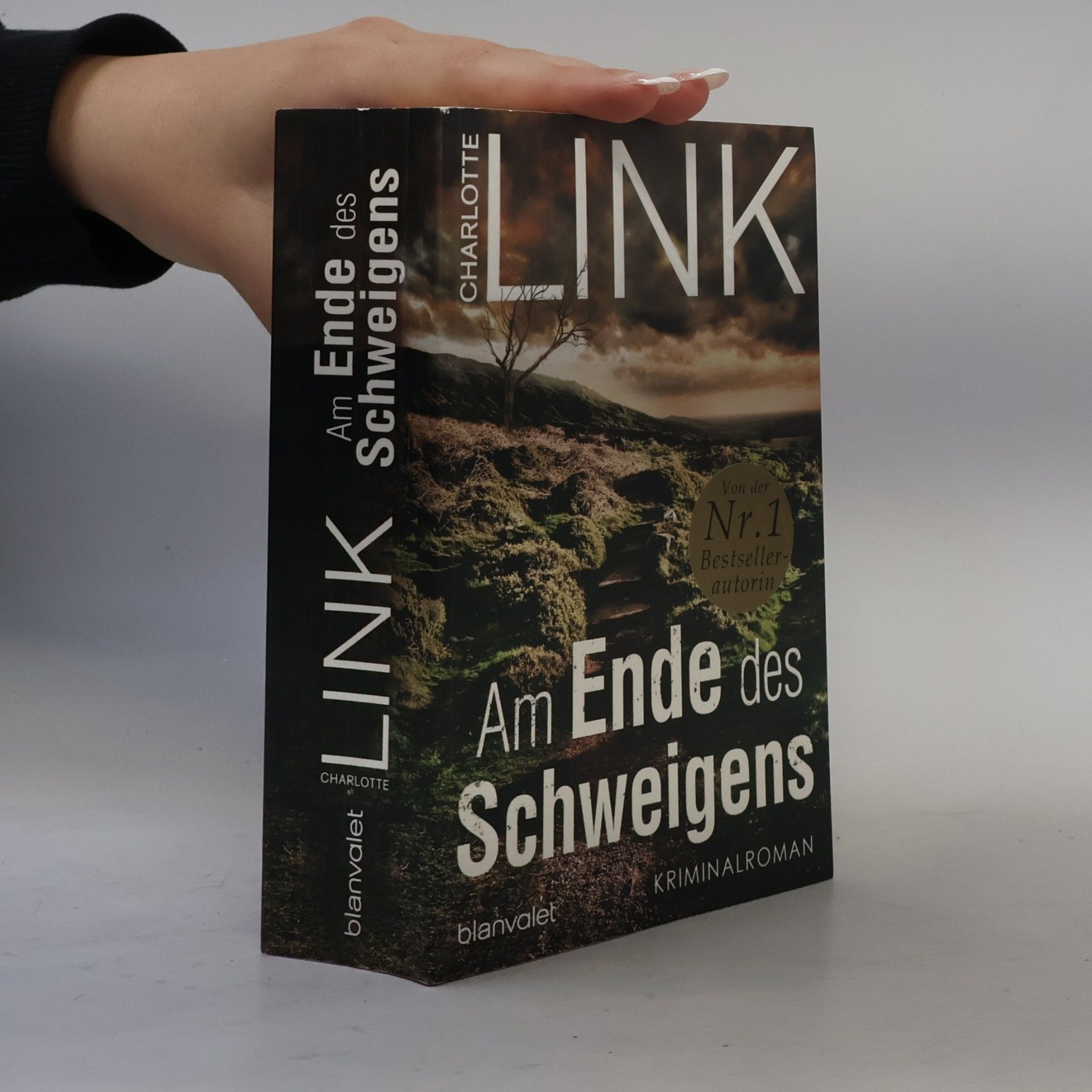 Charlotte Link Am Ende des Schweigens