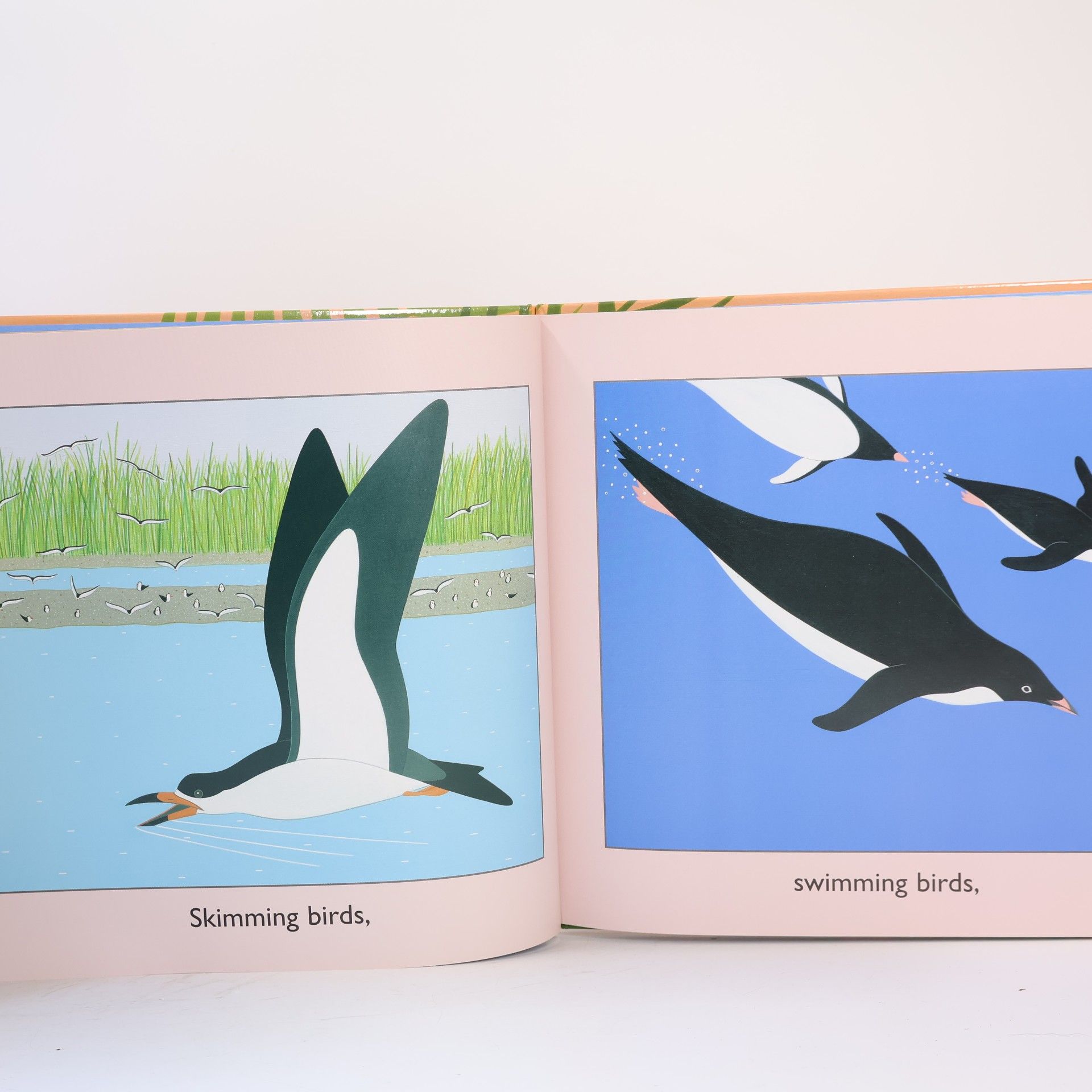 Susan Stockdale Bring on the Birds