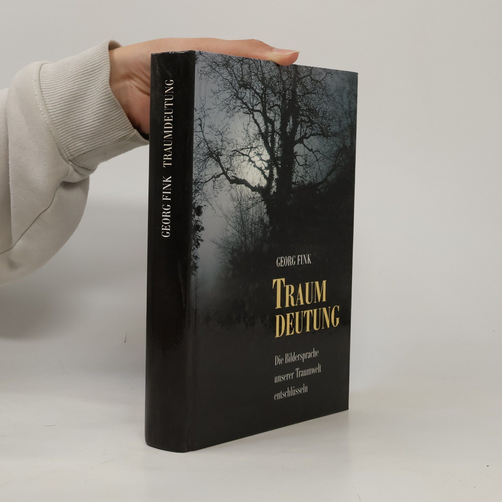 Georg Fink Traumdeutung