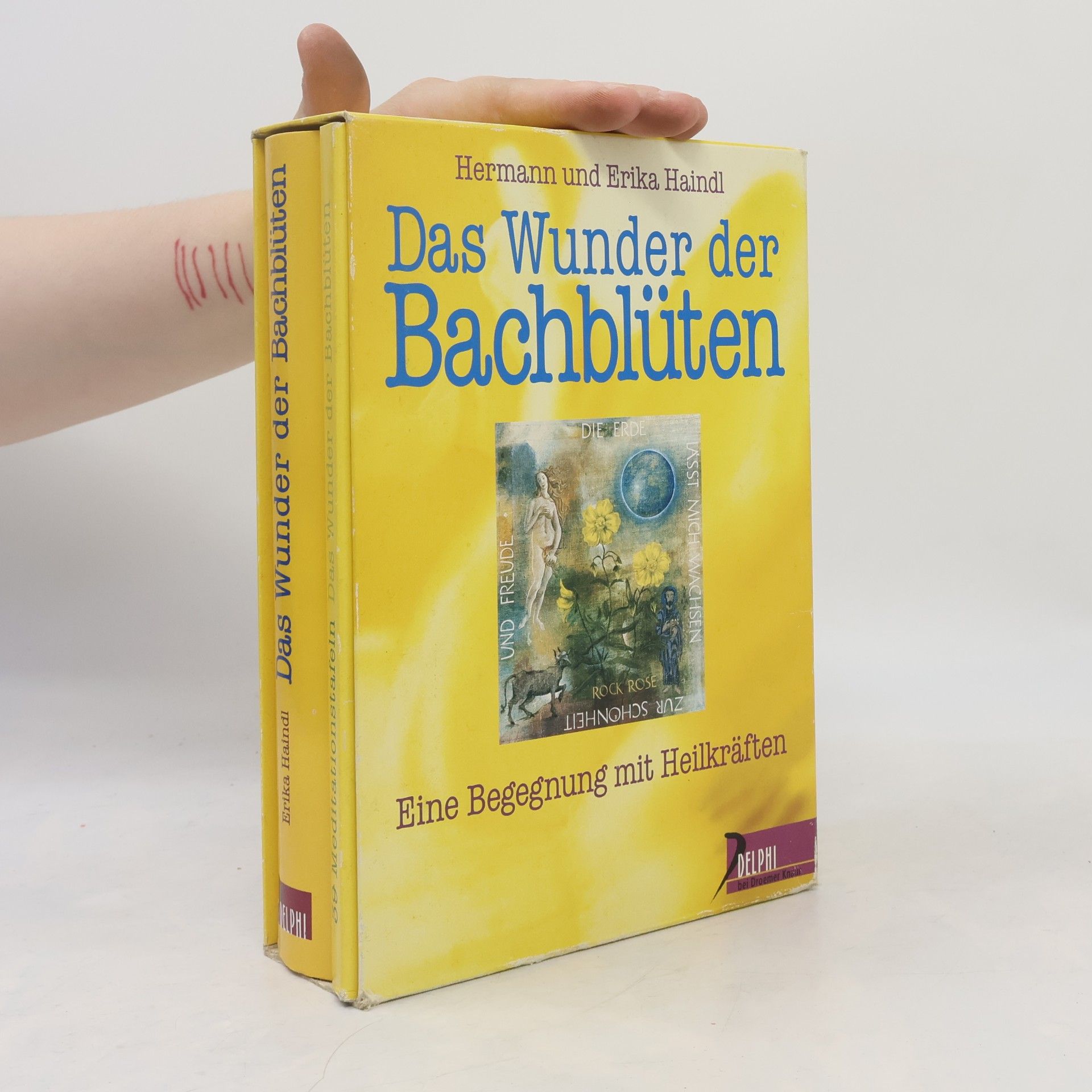 Erika Haindl Das Wunder der Bachblüten