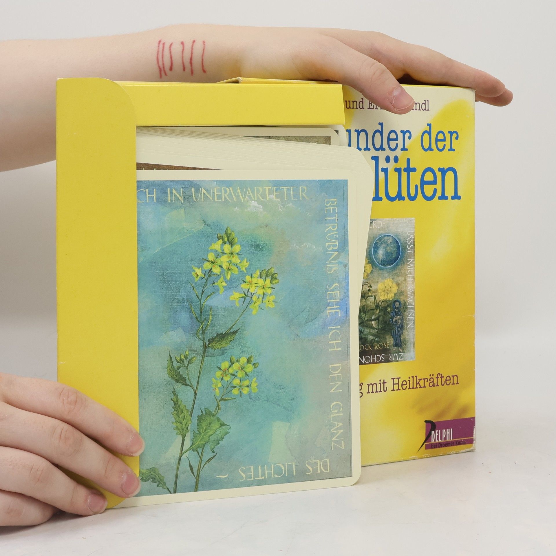 Erika Haindl Das Wunder der Bachblüten