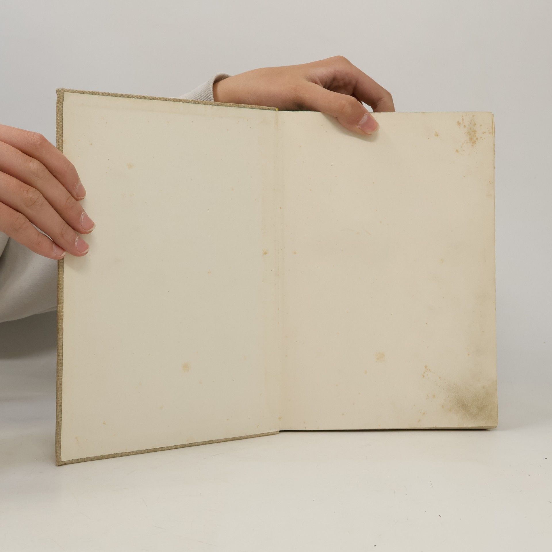 Elizabeth Gaskell Marie Bartonová : příběh z manchesterského života