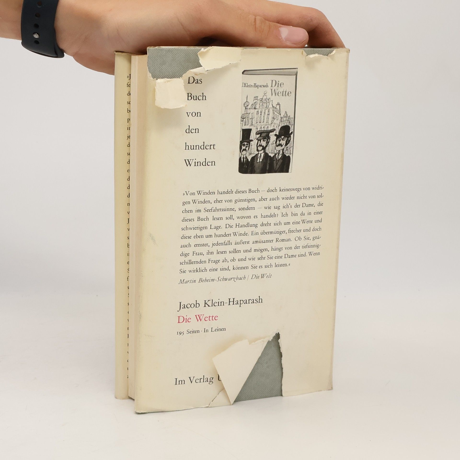 Hans Fallada Junger Herr