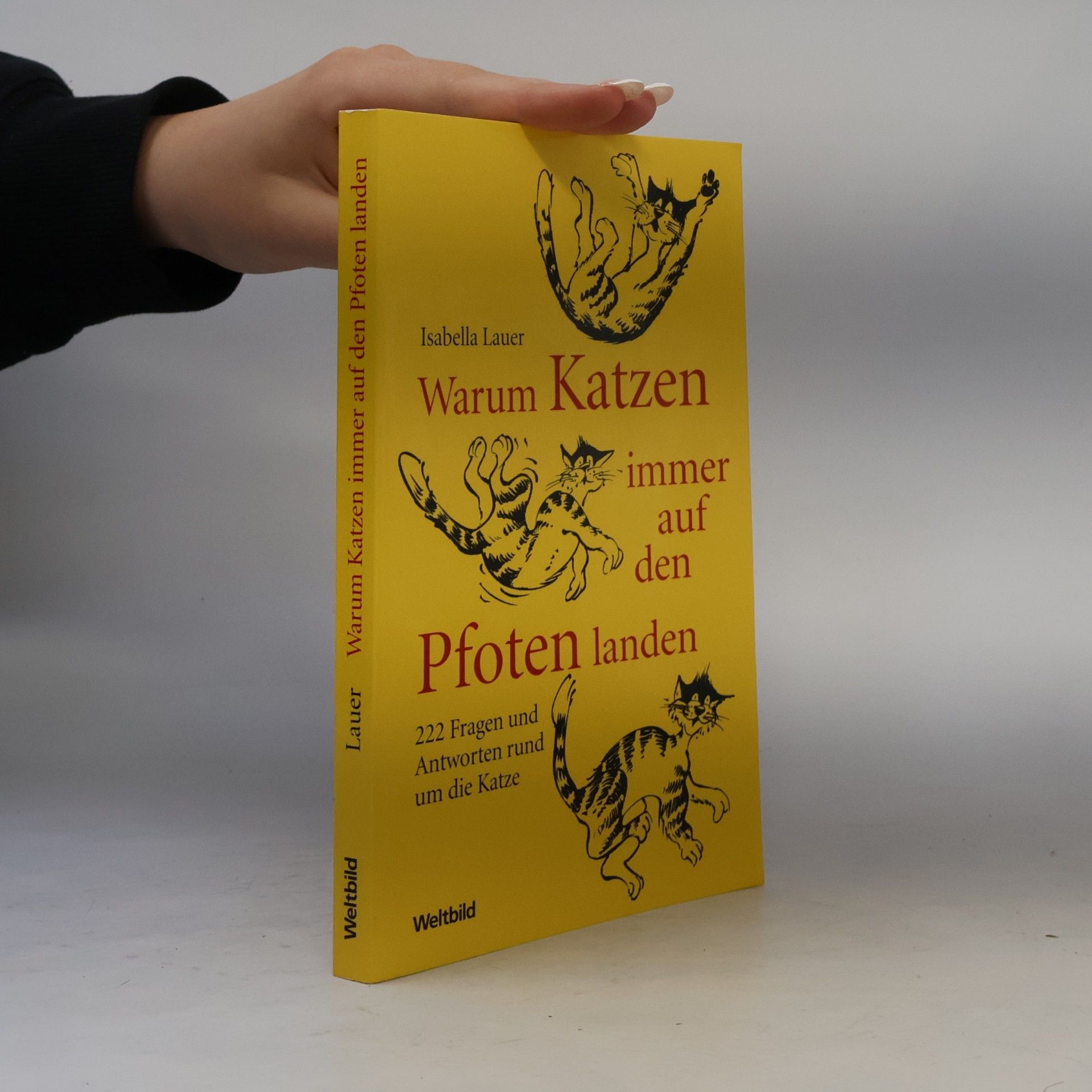 Isabella Lauer Warum Katzen immer auf den Pfoten landen