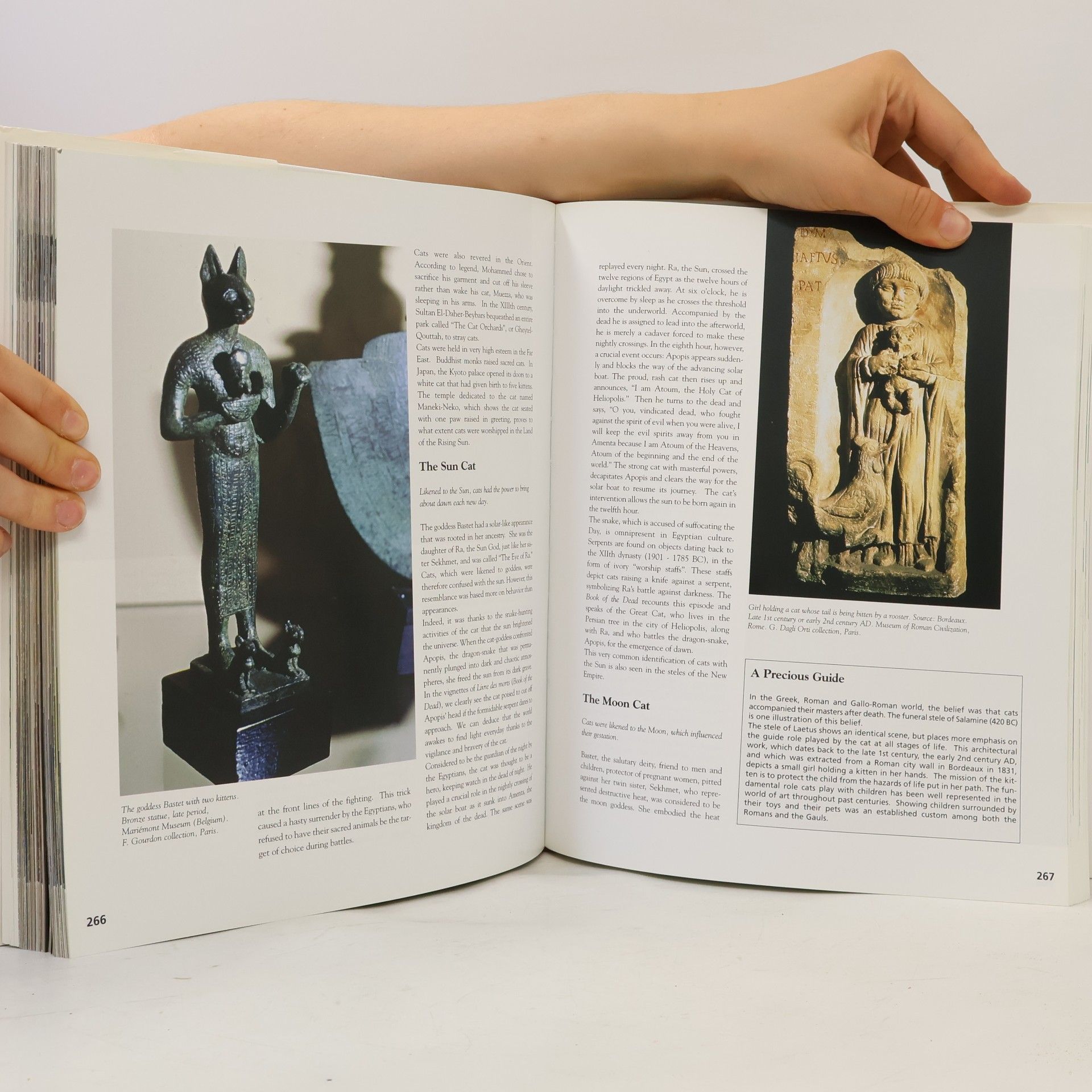 Autorenkollektiv The Royal Canin Cat Encyclopedia
