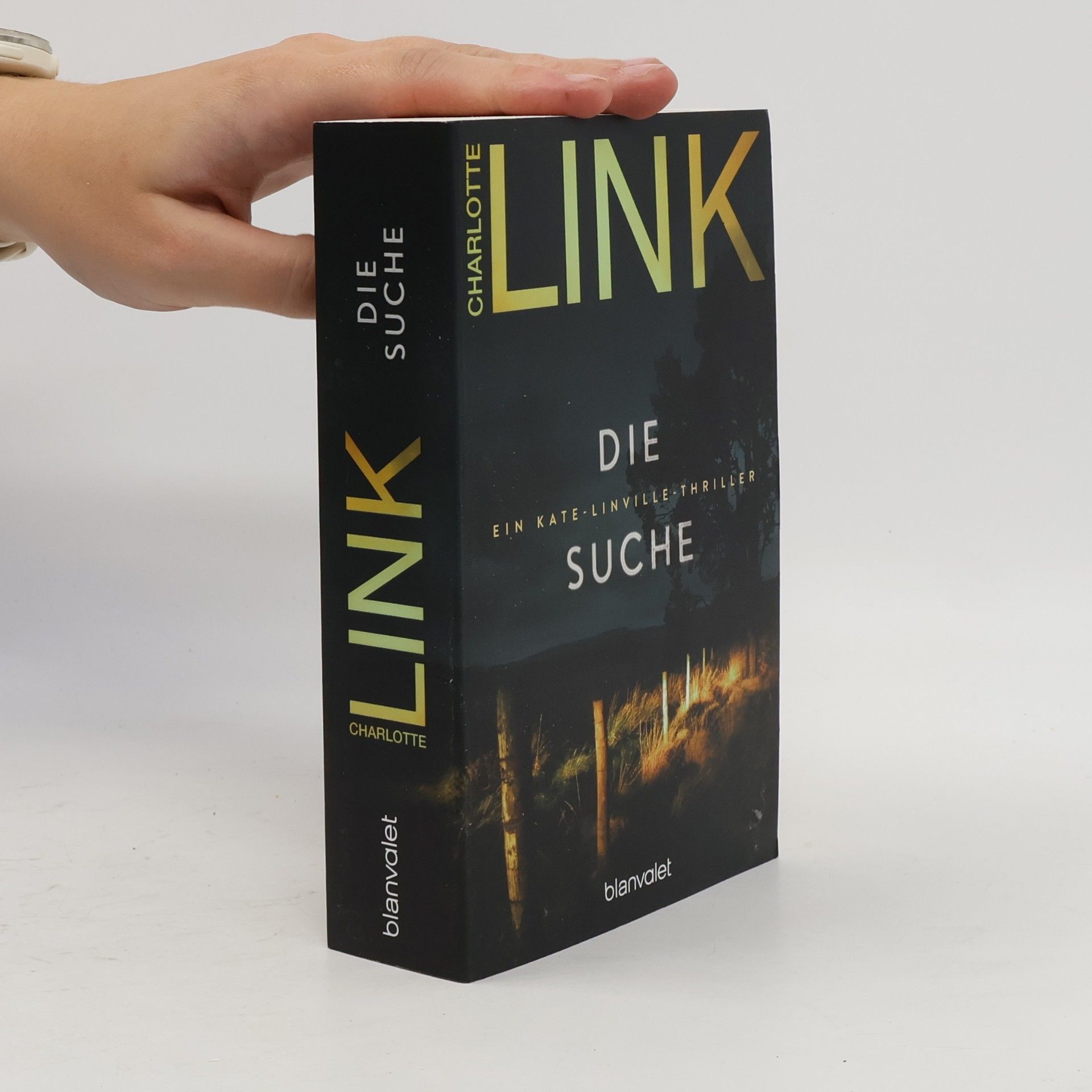 Charlotte Link Kate-Linville-Thriller - 2: Die Suche
