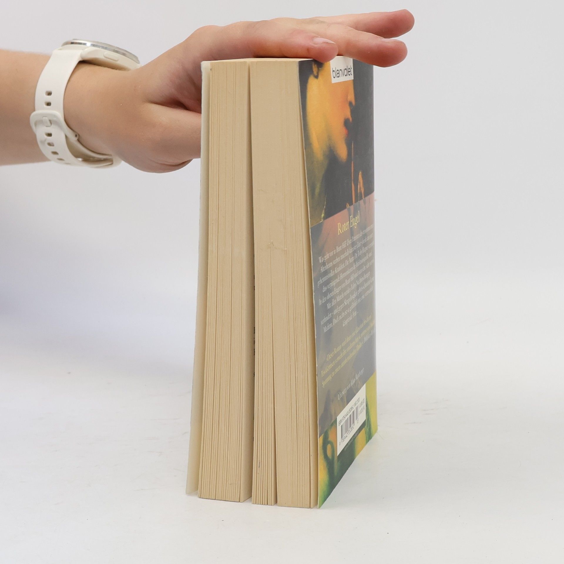 Tess Gerritsen Roter Engel