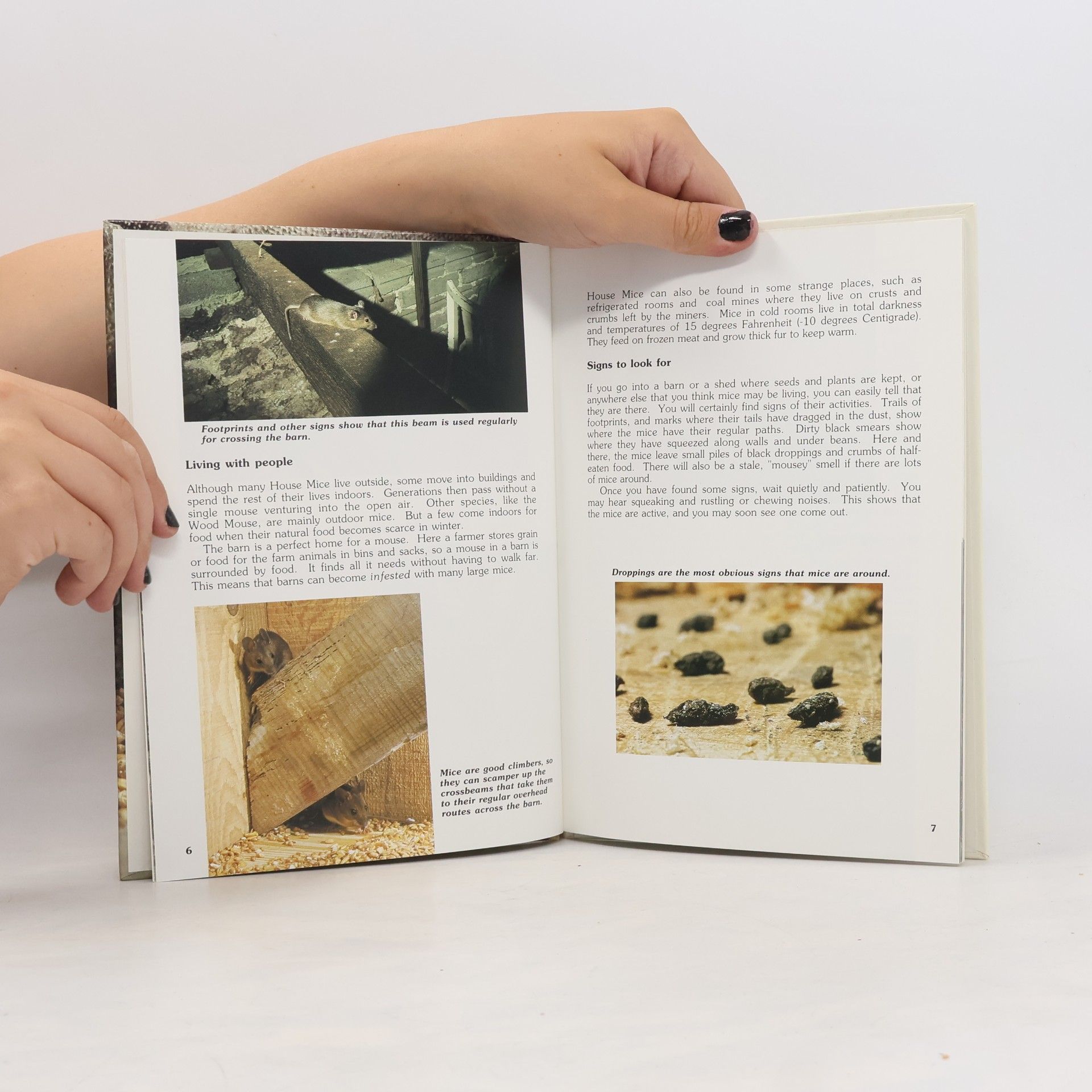 Robert Burton The Mouse in the Barn : Animal Habitats