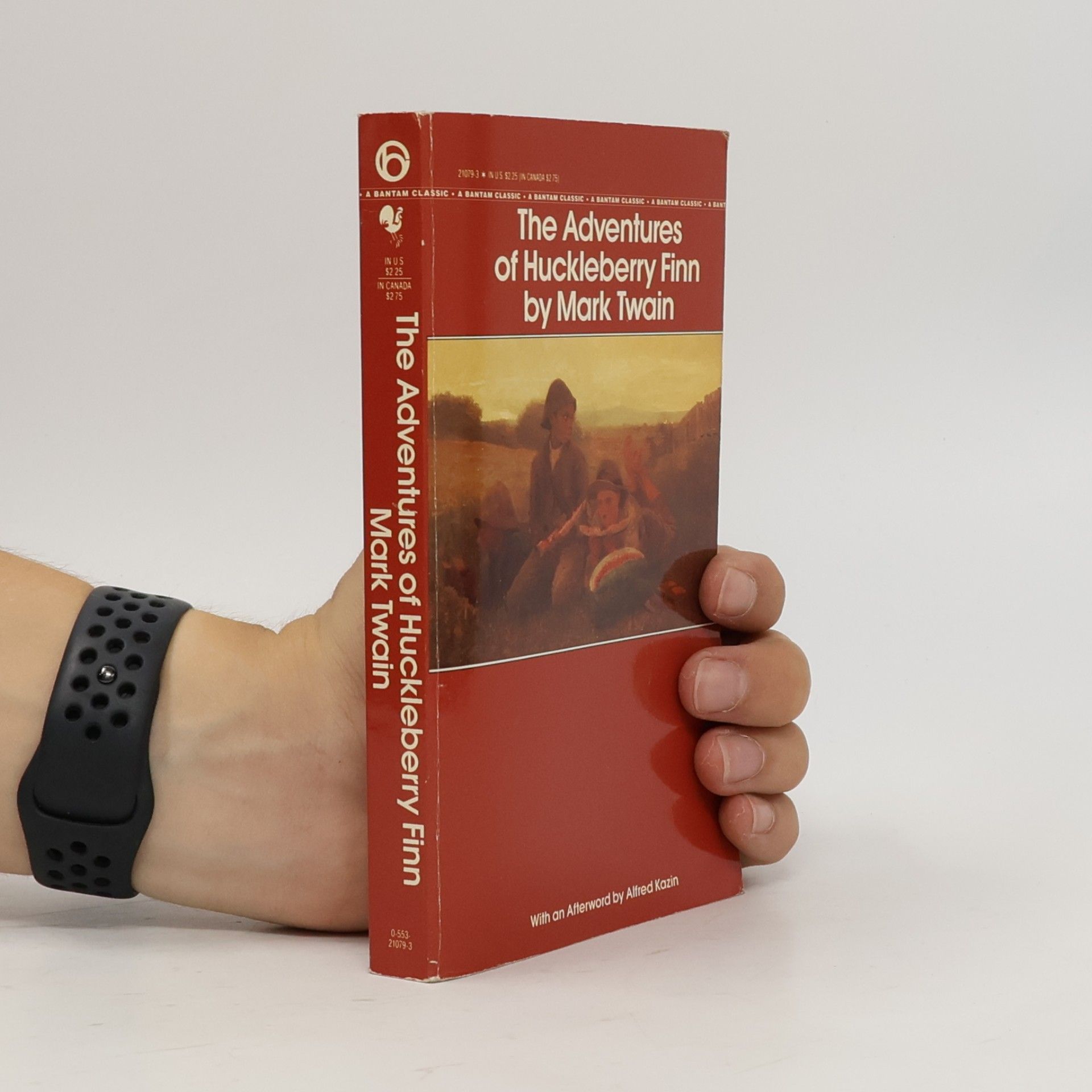 Mark Twain The Adventures of Huckleberry Finn