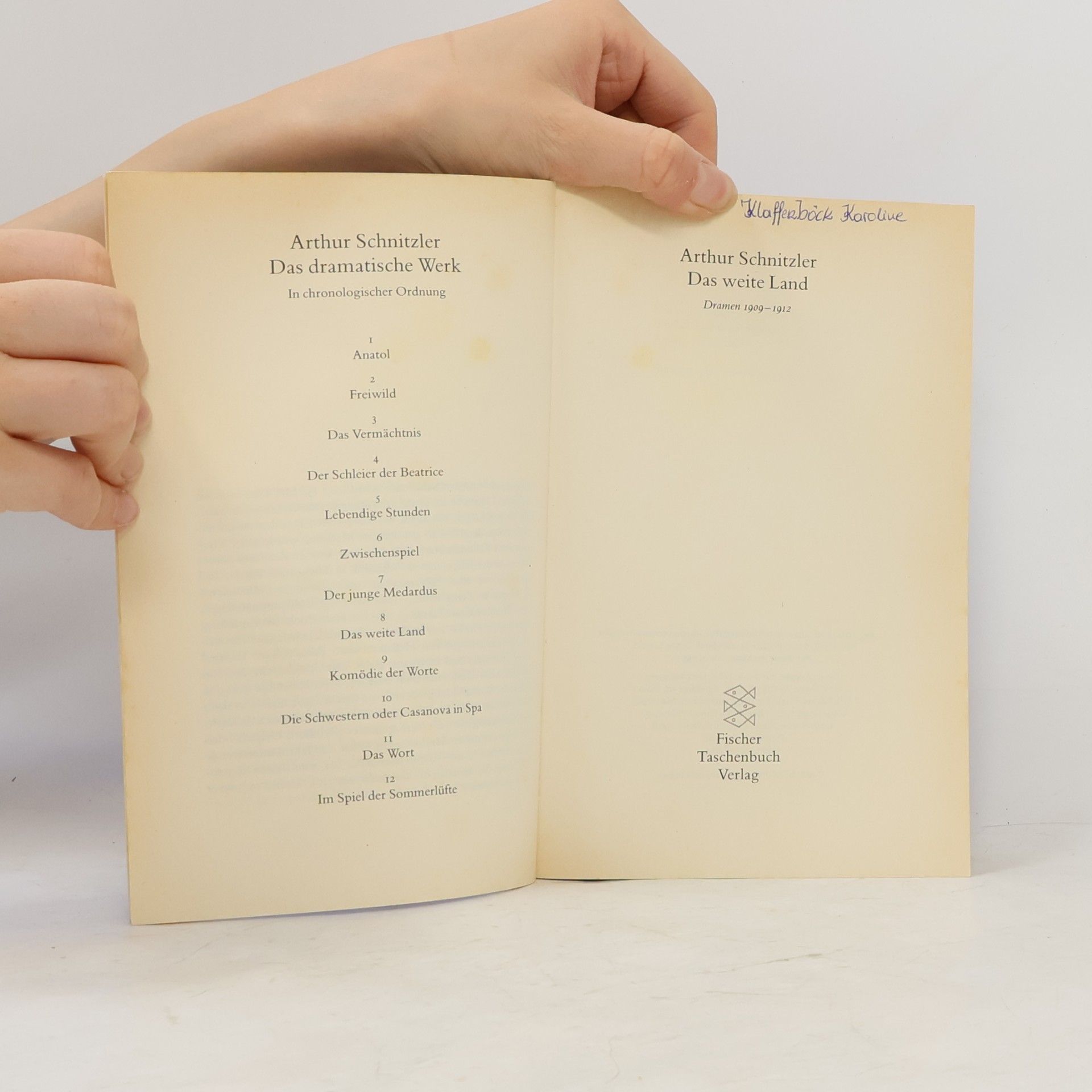 Arthur Schnitzler Das weite Land
