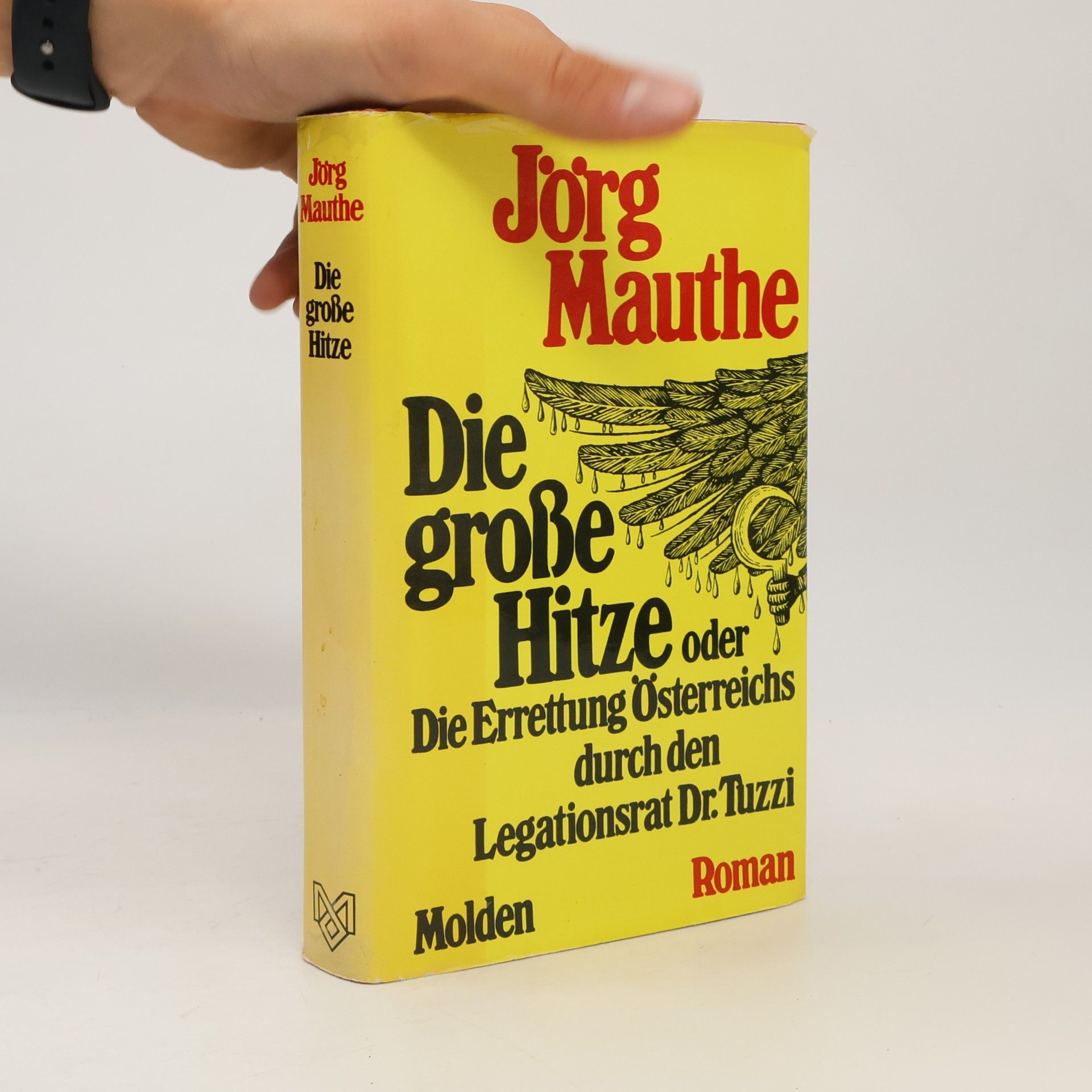 Jörg Mauthe Die große Hitze