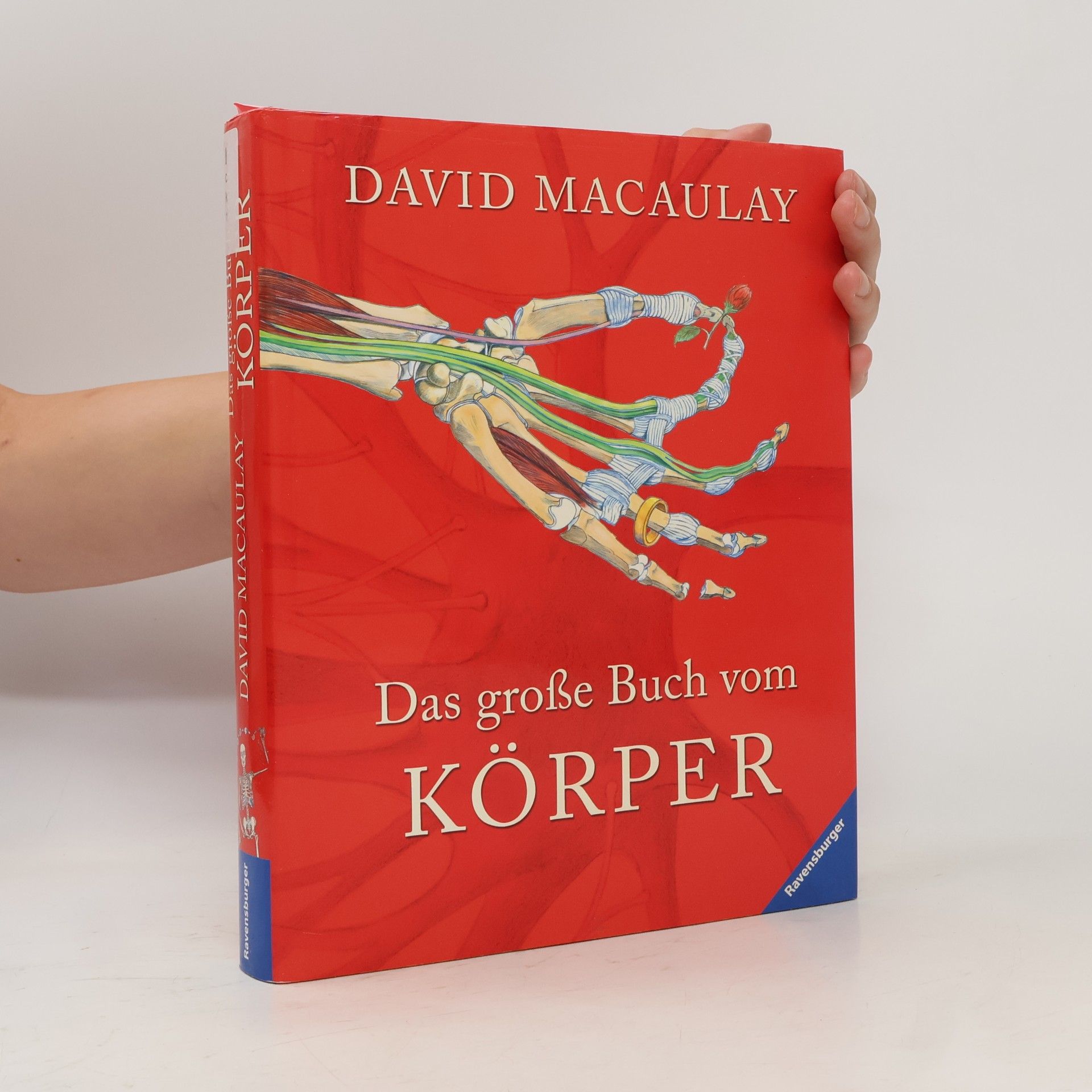 David Macaulay Das große Buch vom Körper