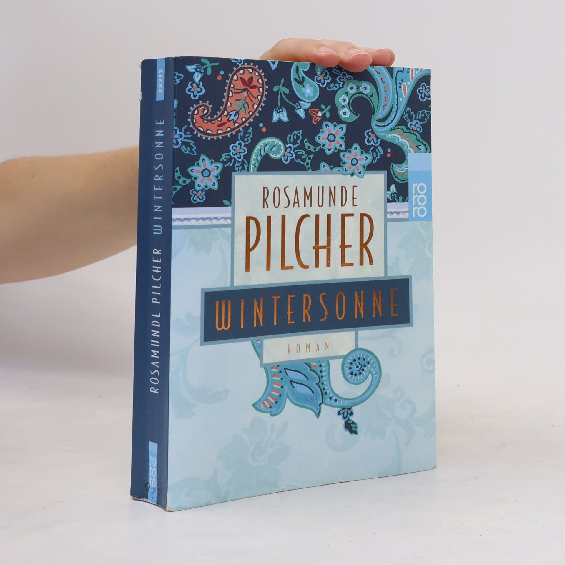 Rosamunde Pilcher Wintersonne