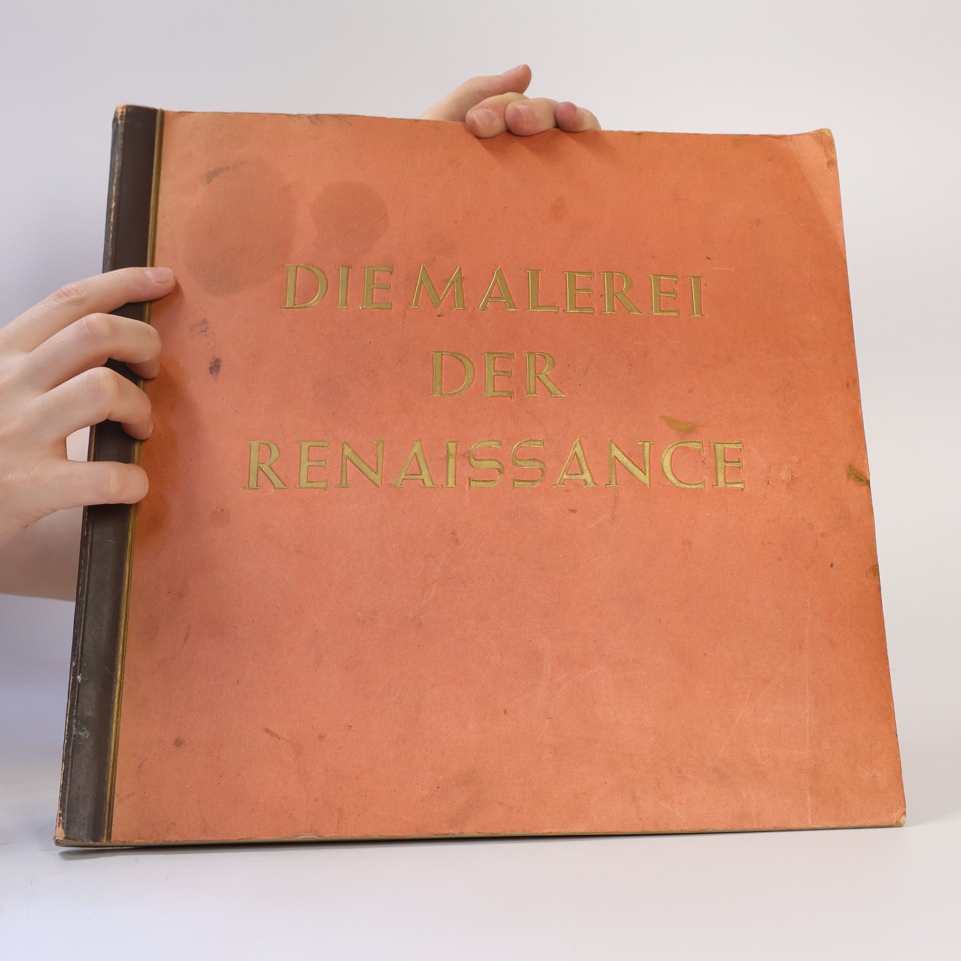 Autorenkollektiv Die Malerei der Renaissance 10