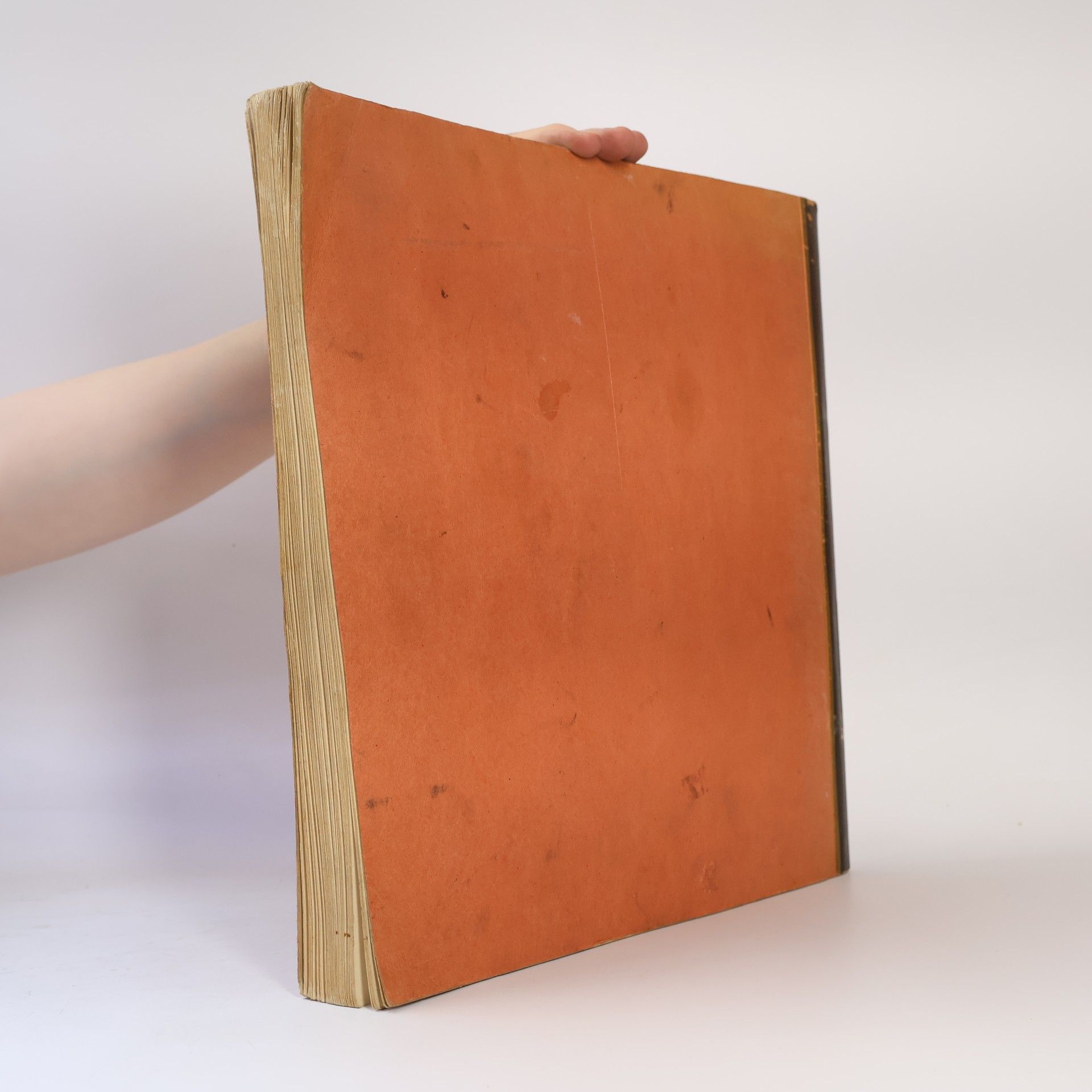 Autorenkollektiv Die Malerei der Renaissance 10
