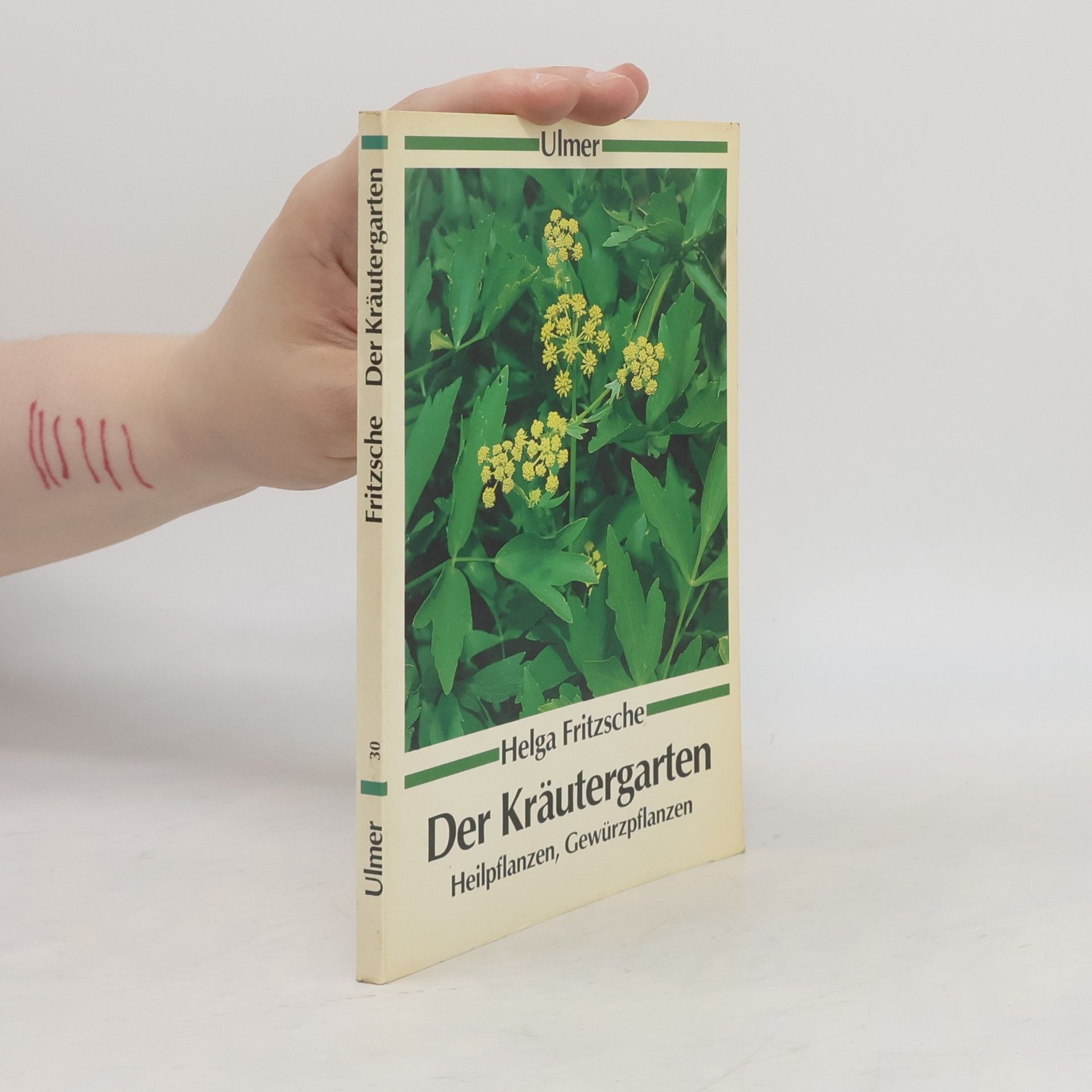 Helga Fritzsche Der Kräutergarten