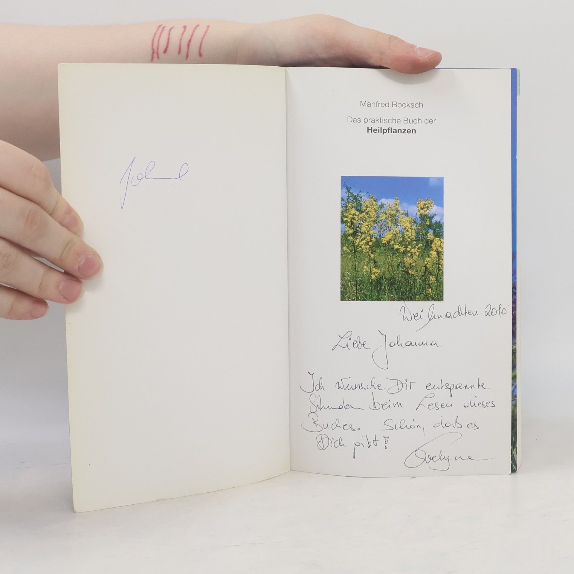 Manfred Bocksch Das praktische Buch der Heilpflanzen
