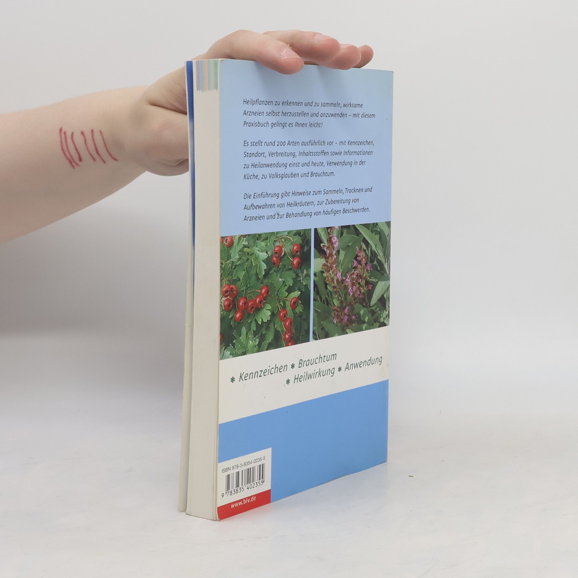 Manfred Bocksch Das praktische Buch der Heilpflanzen