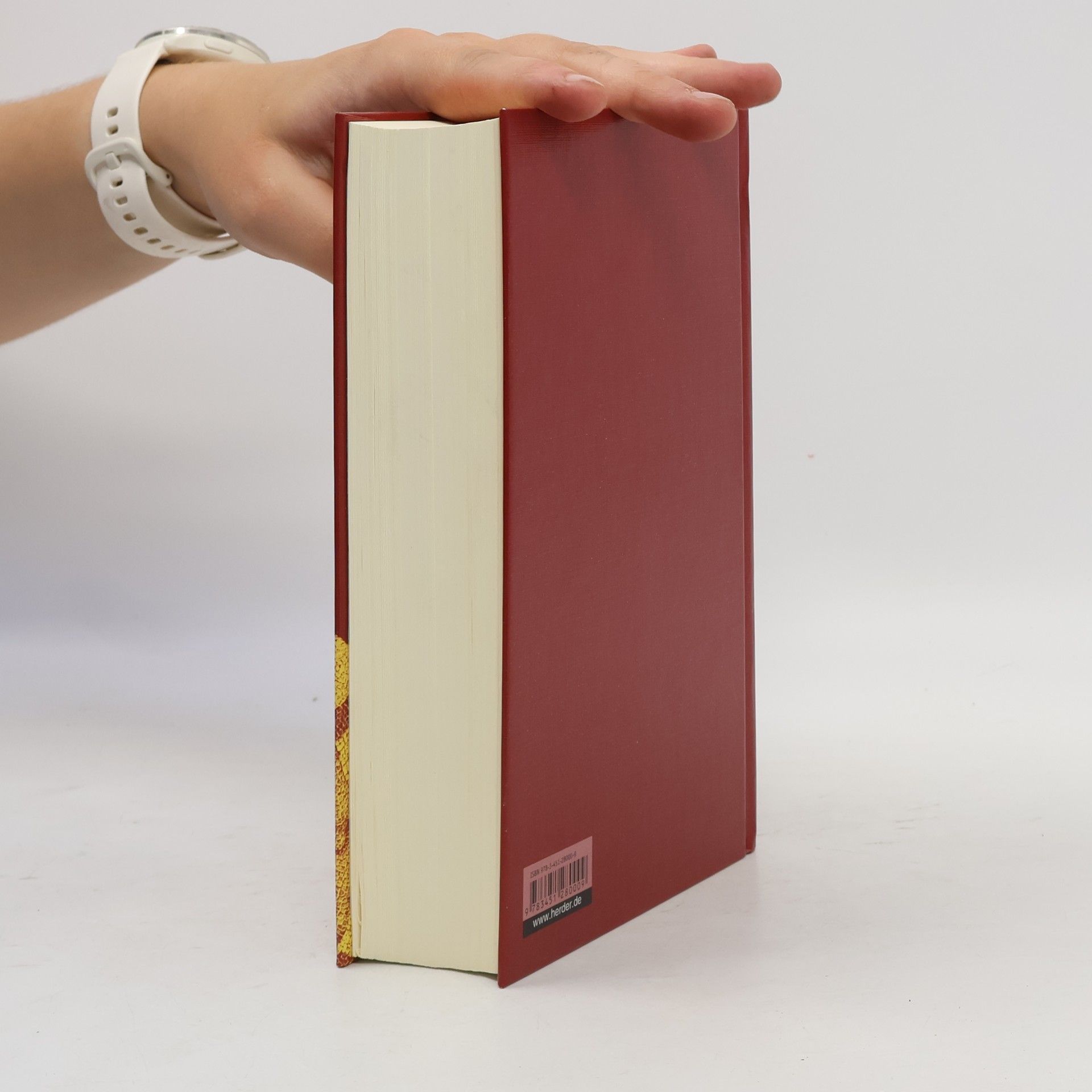 Kolektiv autorů Die Bibel