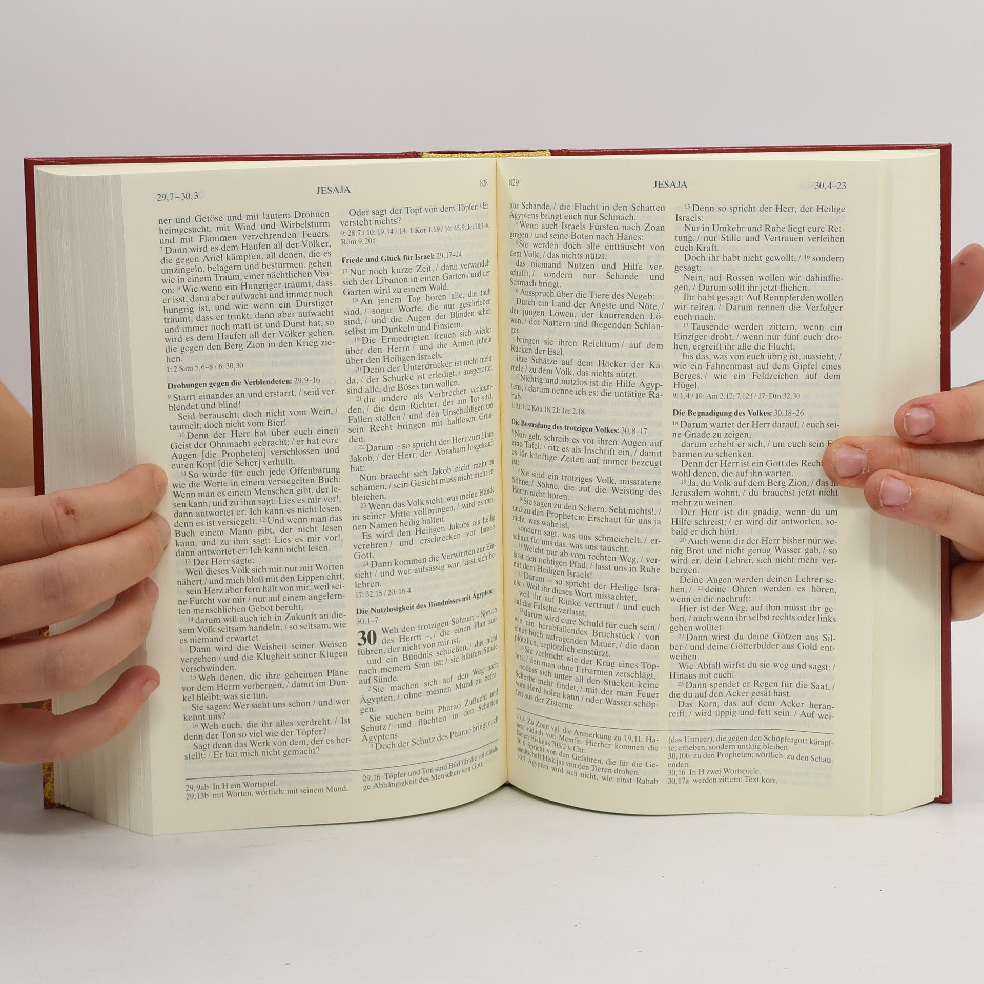 Kolektiv autorů Die Bibel