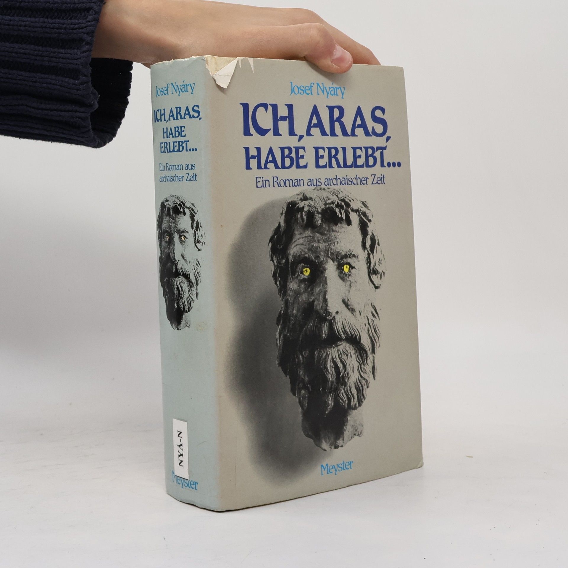 Josef Nyáry Ich, Aras, habe erlebt ...