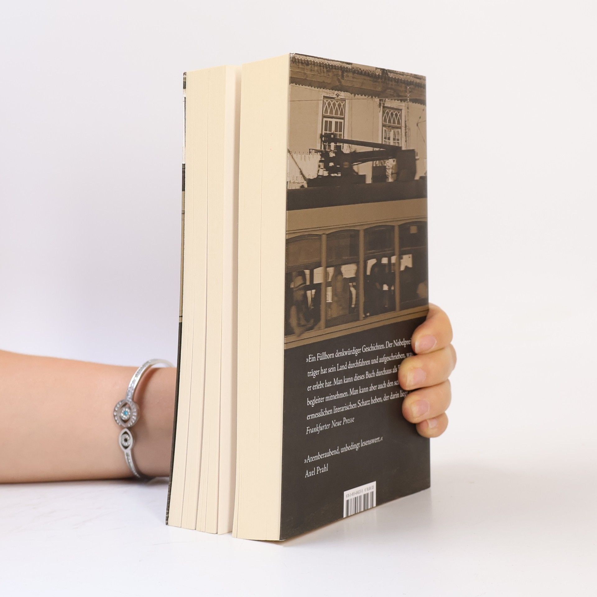 José Saramago Die portugiesische Reise
