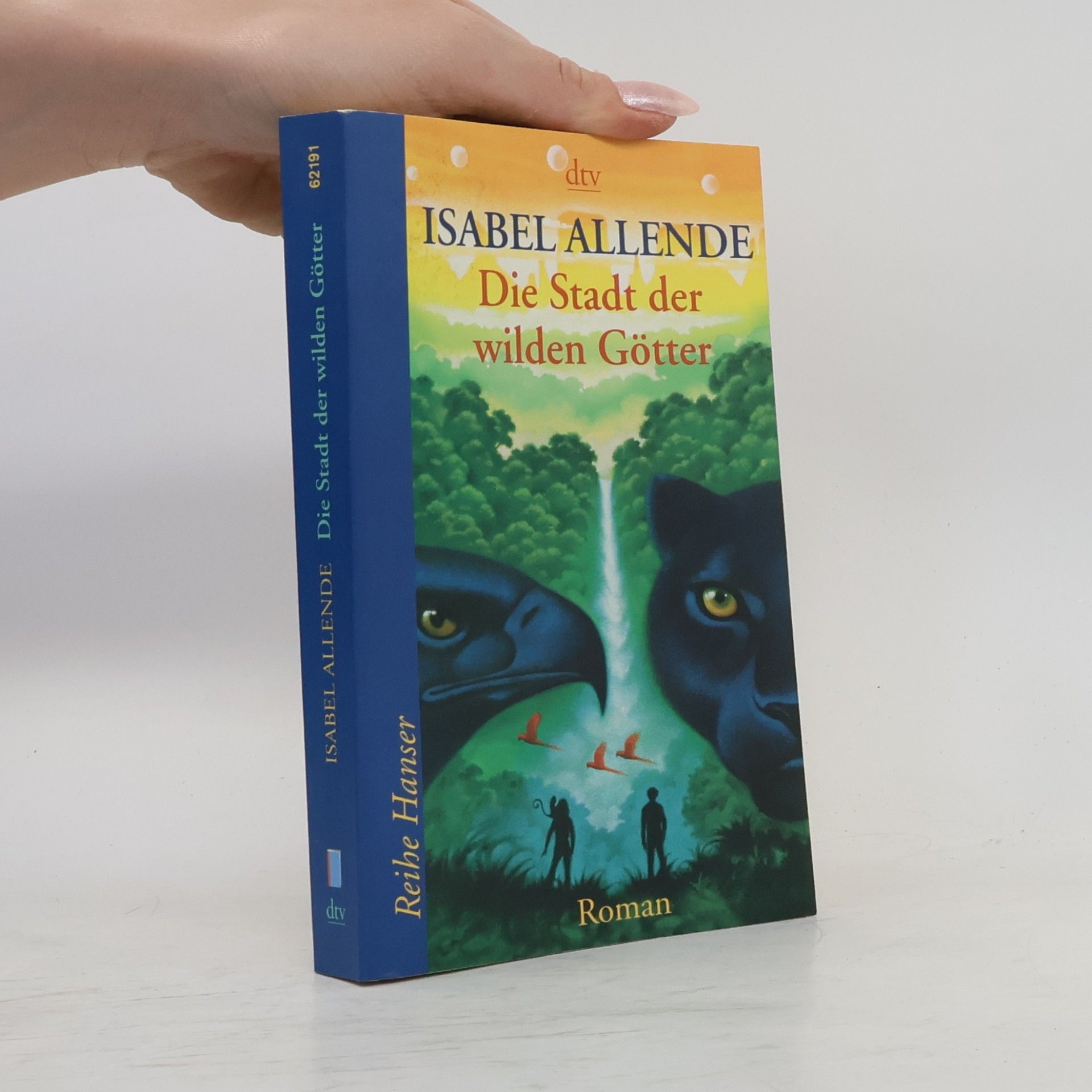 Isabel Allende Die Stadt der wilden Götter