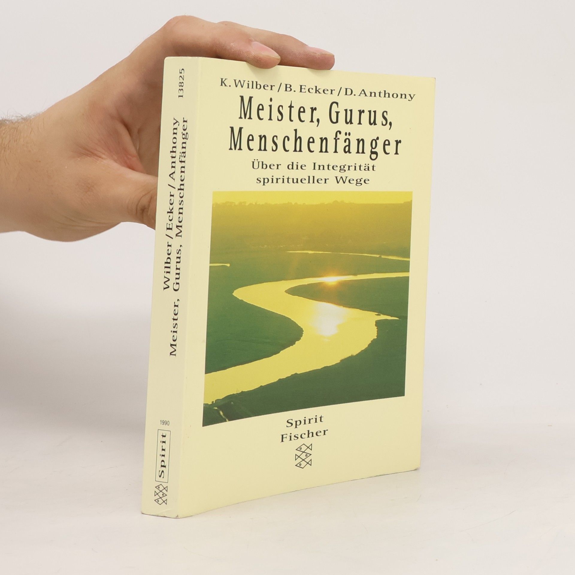 Ken Wilber Meister, Gurus, Menschenfänger