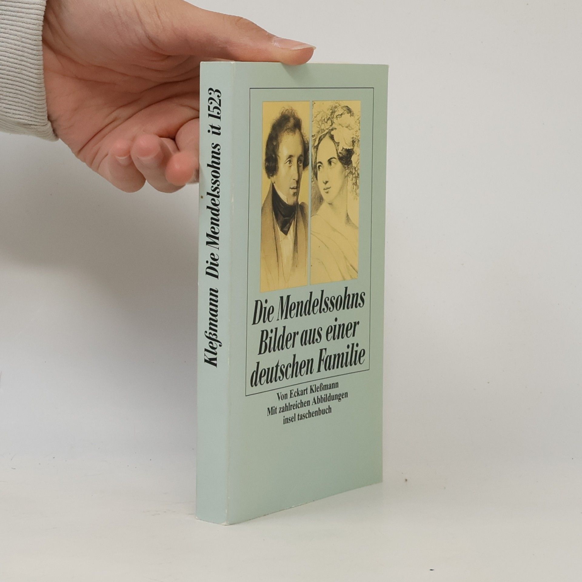 Eckart Kleßmann Die Mendelssohns