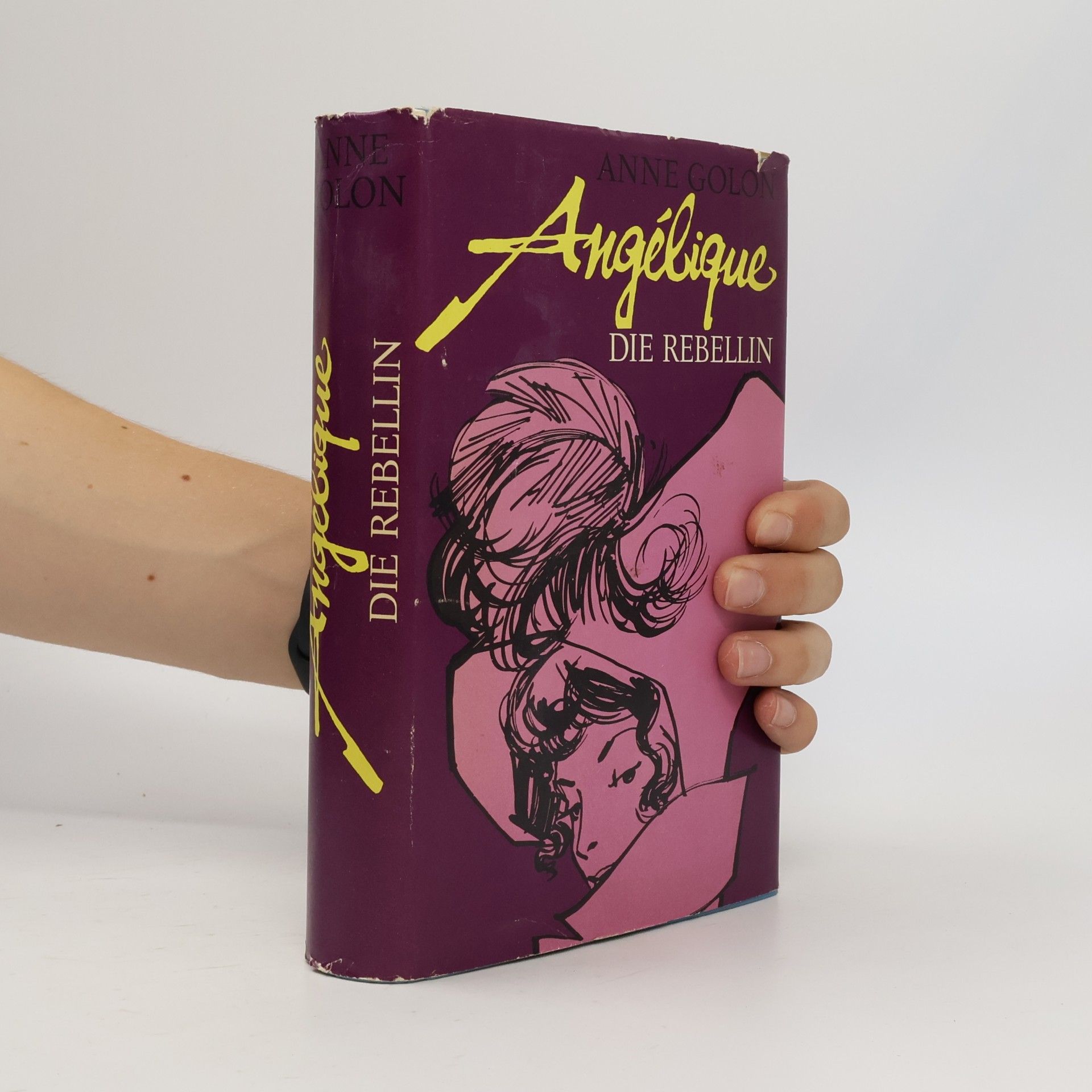 Anne Golon Angélique. Die Rebellin