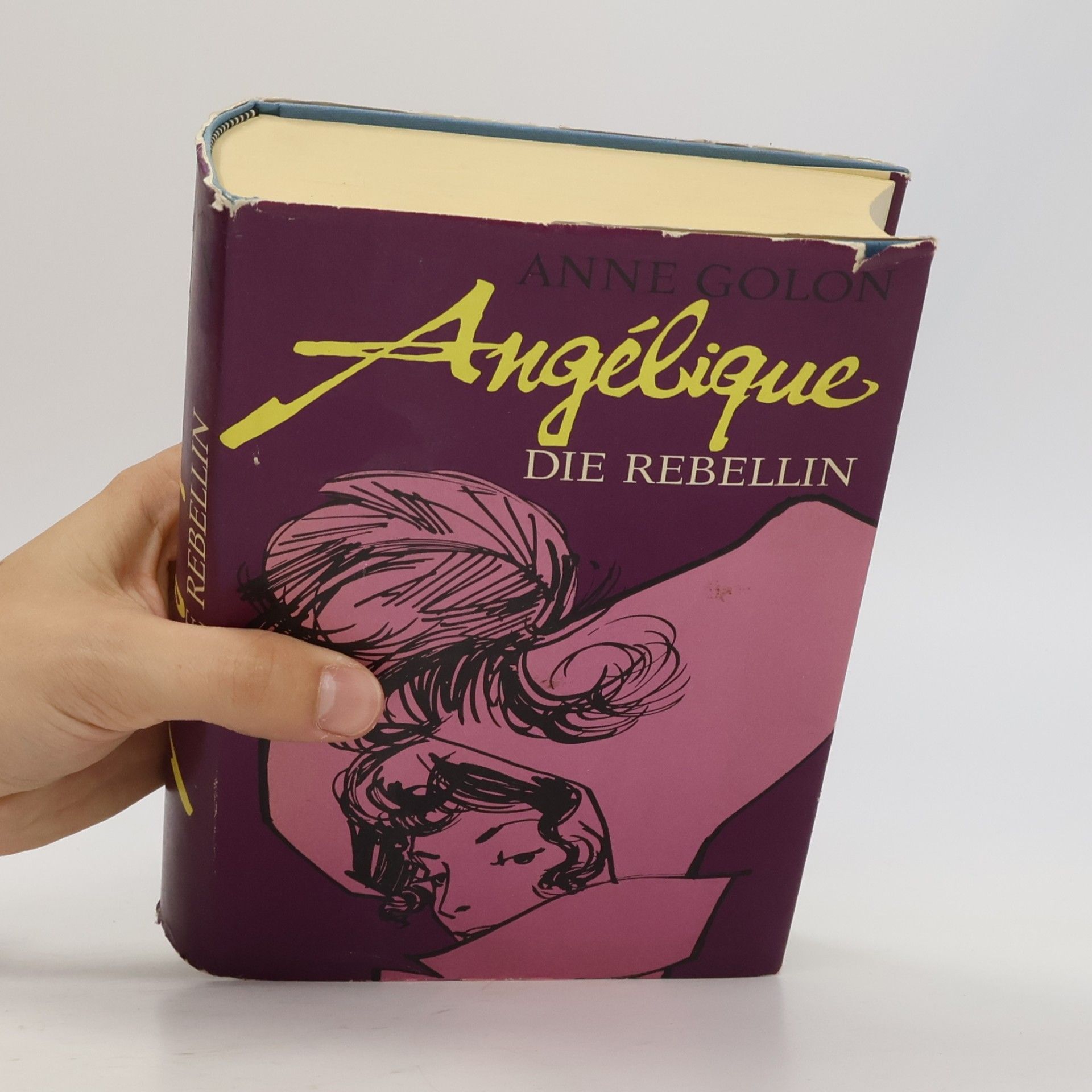 Anne Golon Angélique. Die Rebellin