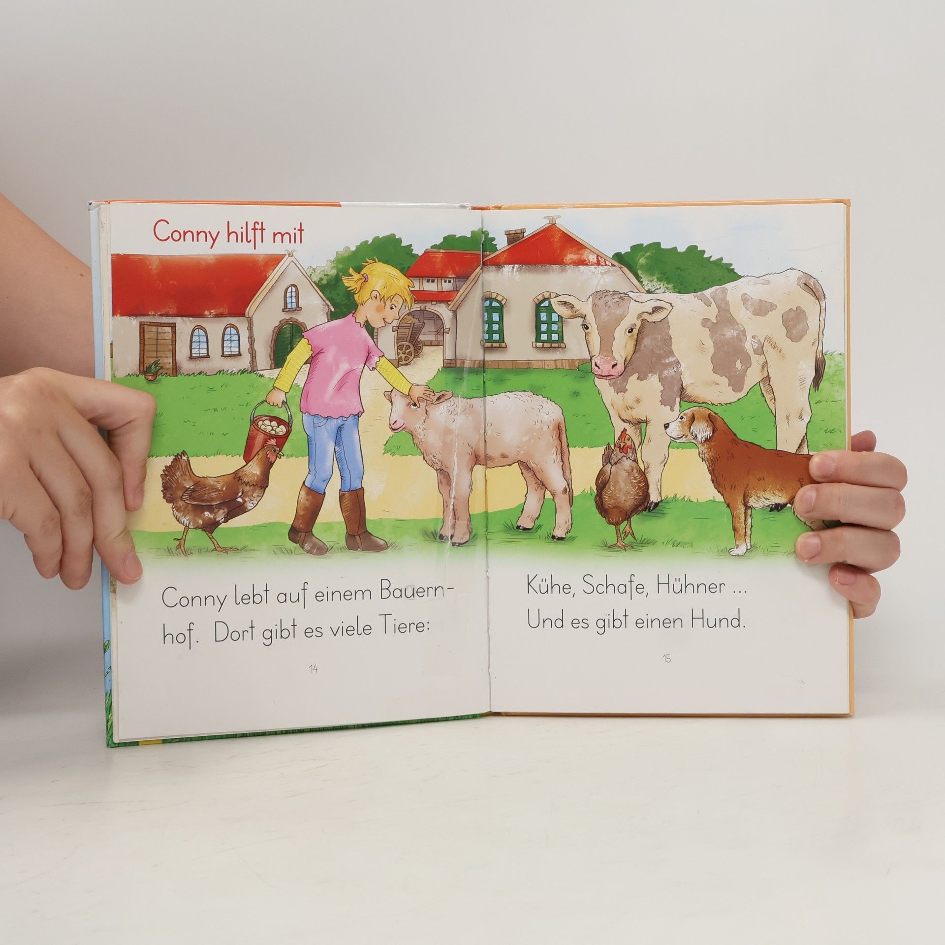 Gabriele Rittig Mein Pony heißt Bonny. LESEZUG, 1. Klasse: