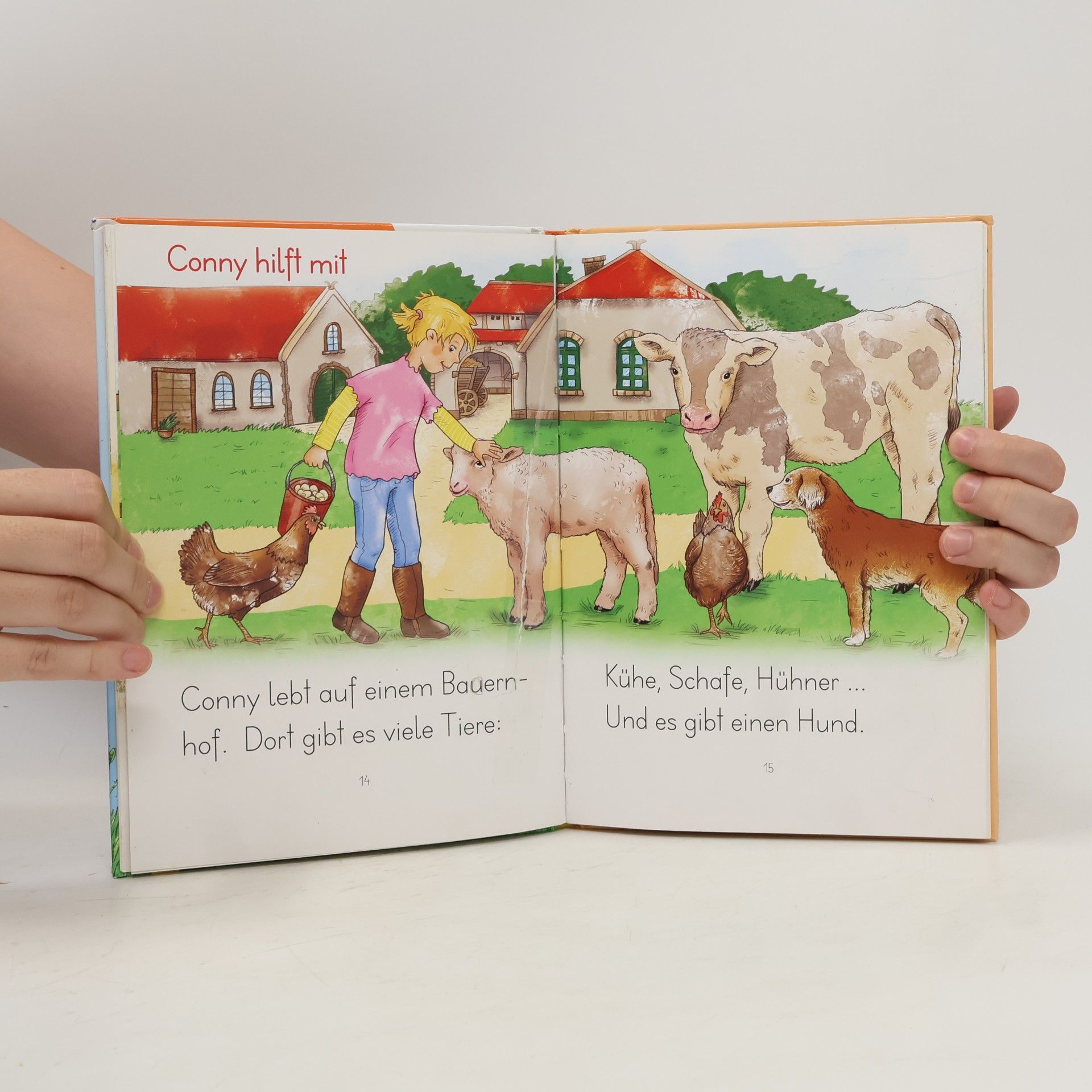 Gabriele Rittig Mein Pony heißt Bonny. LESEZUG, 1. Klasse: