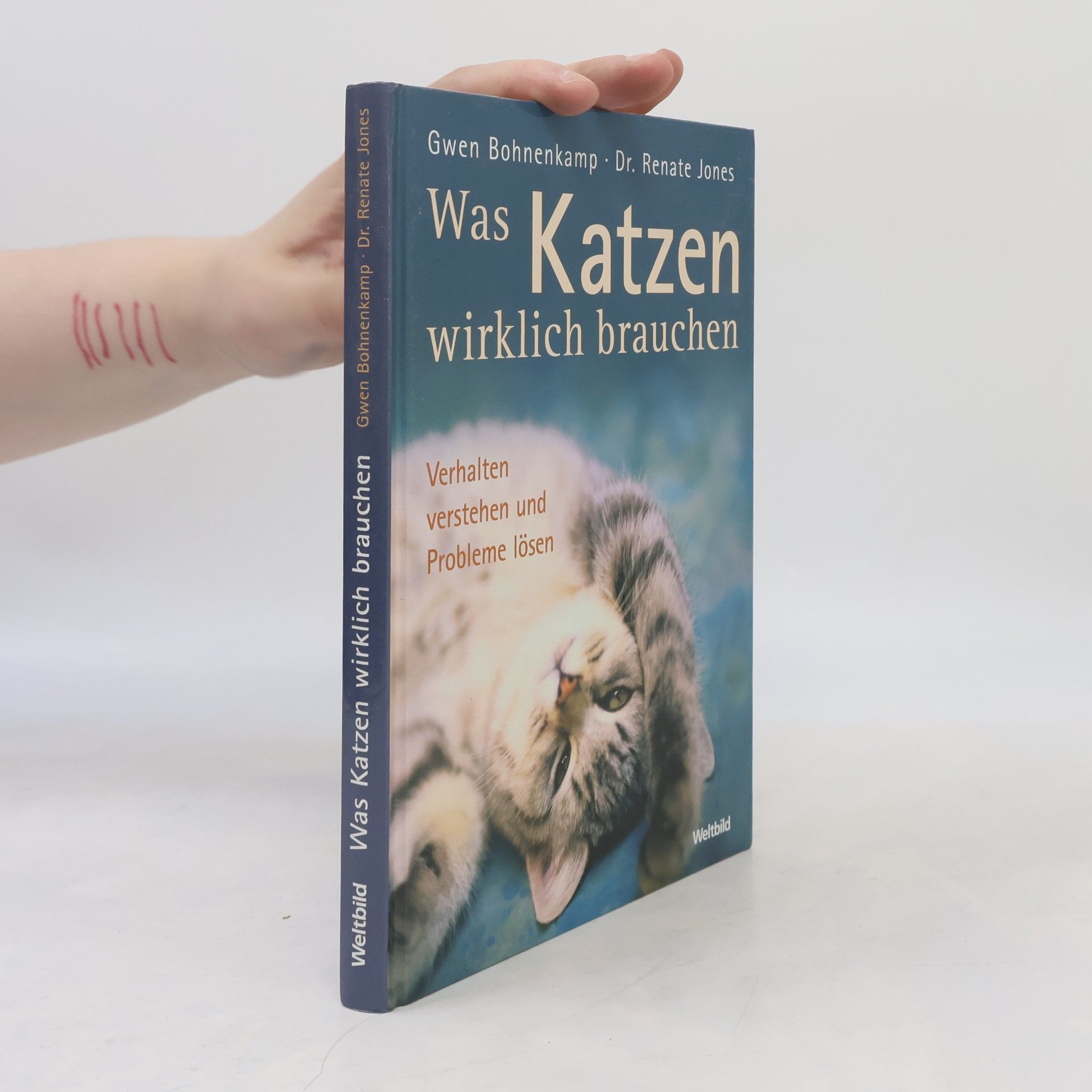Gwen Bohnenkamp Was Katzen wirklich brauchen