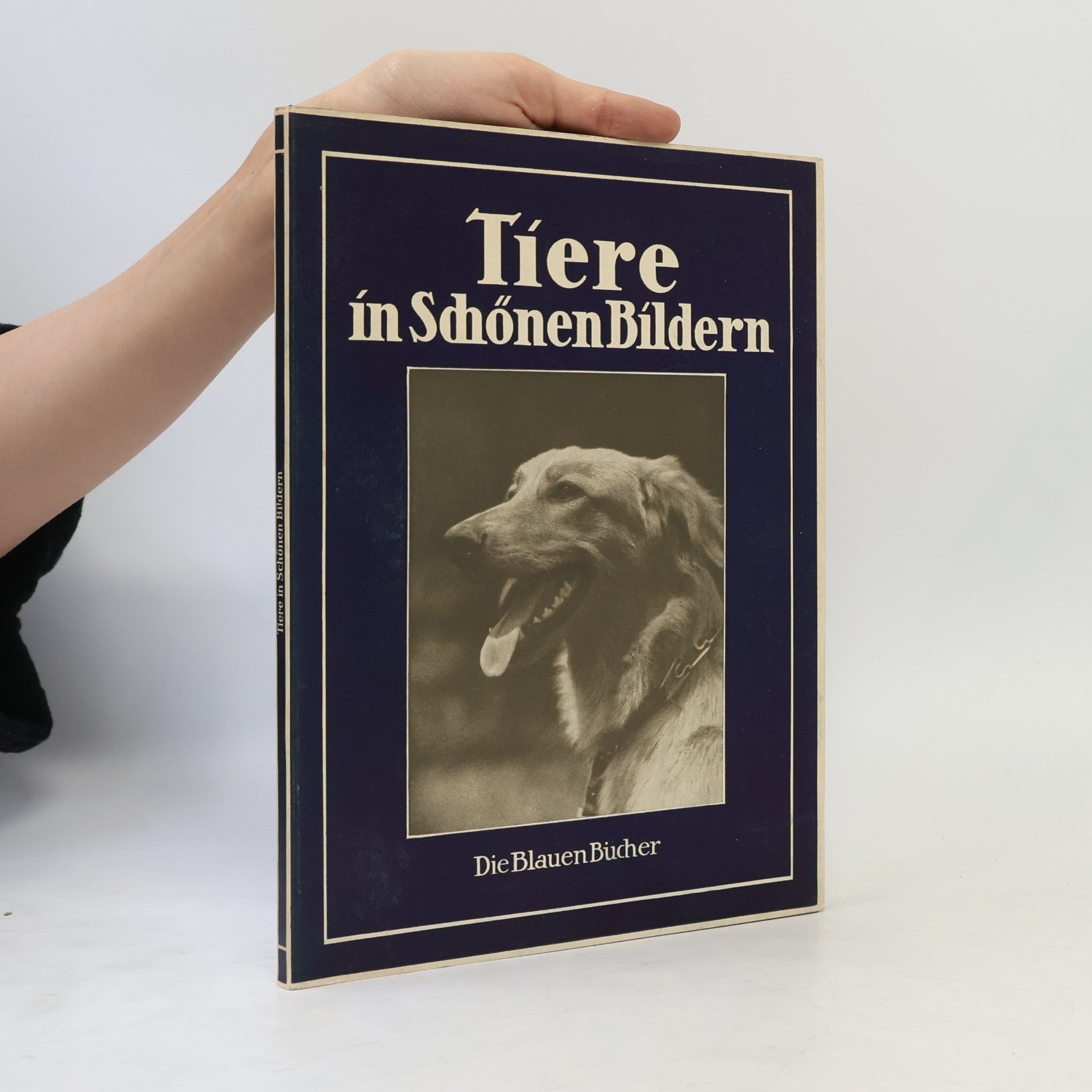 Autorenkollektiv Tiere in schönen Bildern