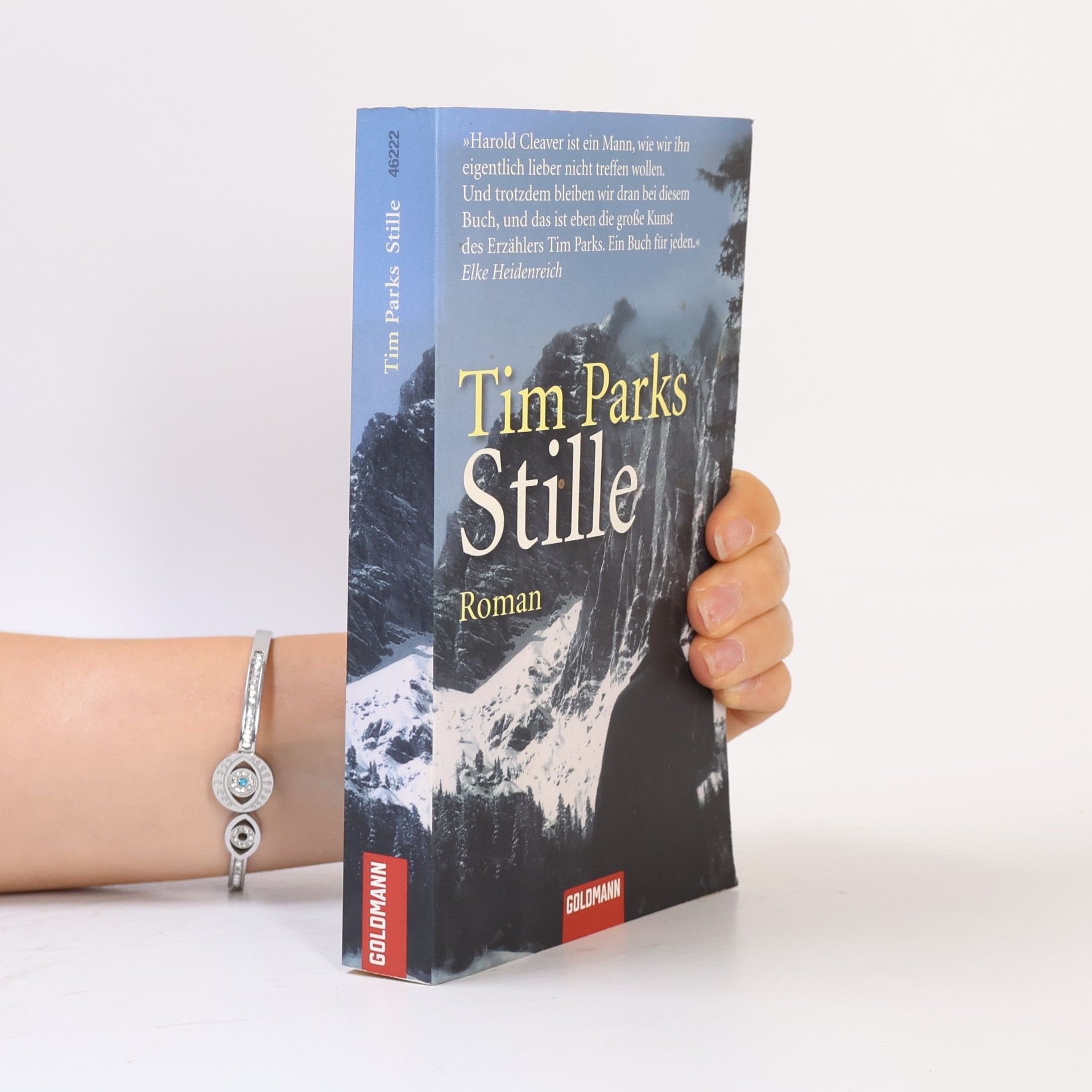 Tim Parks Stille