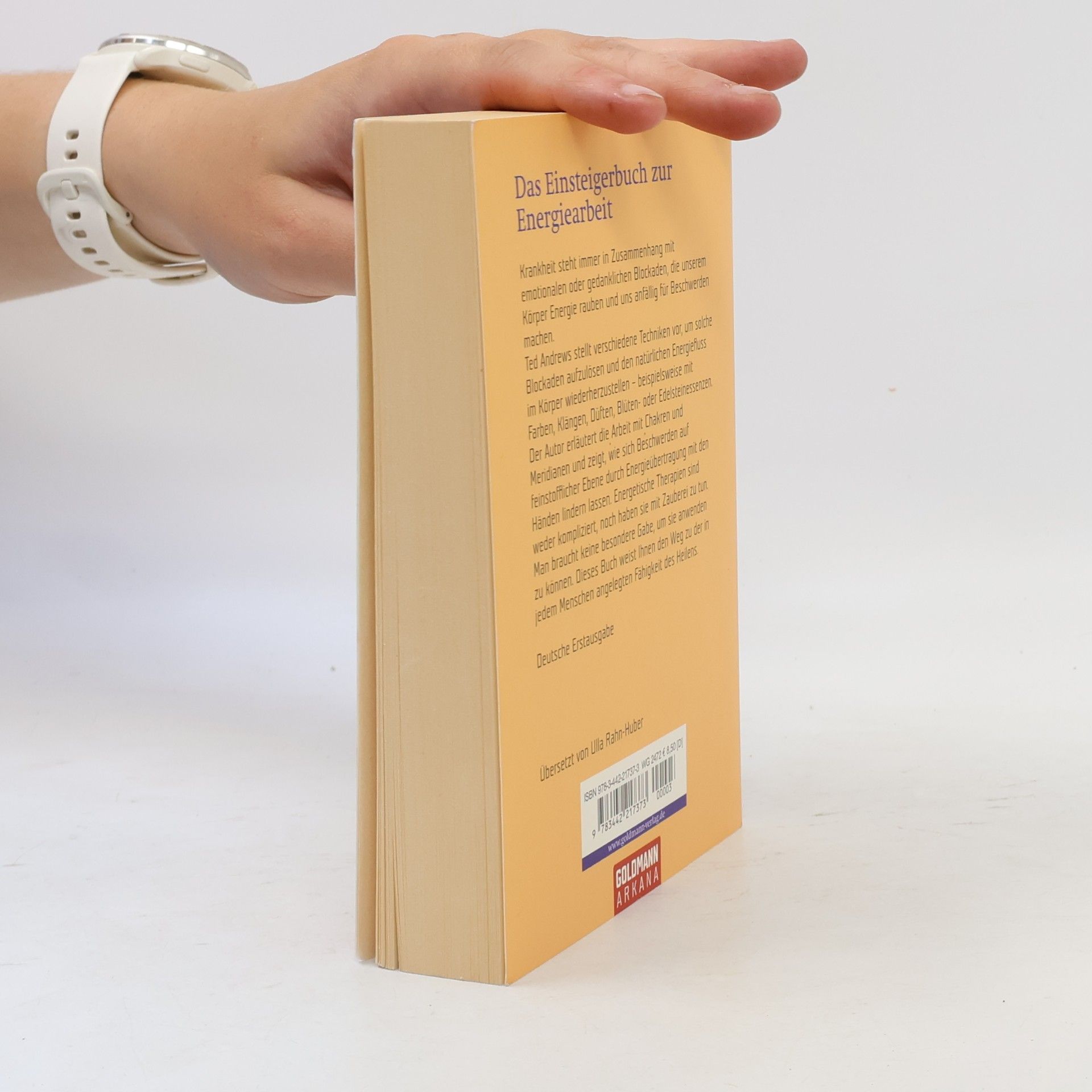 Ted Andrews Kleines Lehrbuch für Heiler
