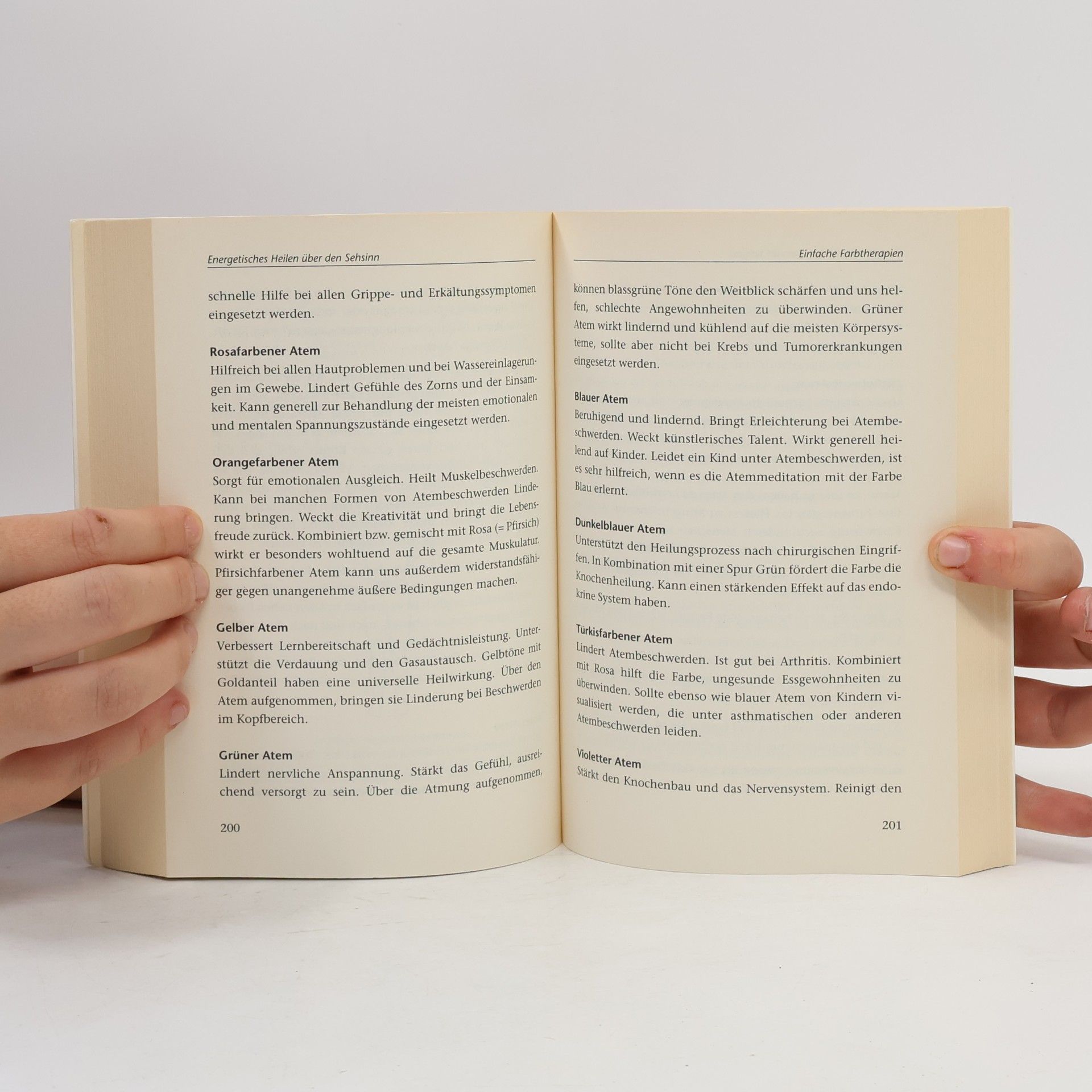 Ted Andrews Kleines Lehrbuch für Heiler