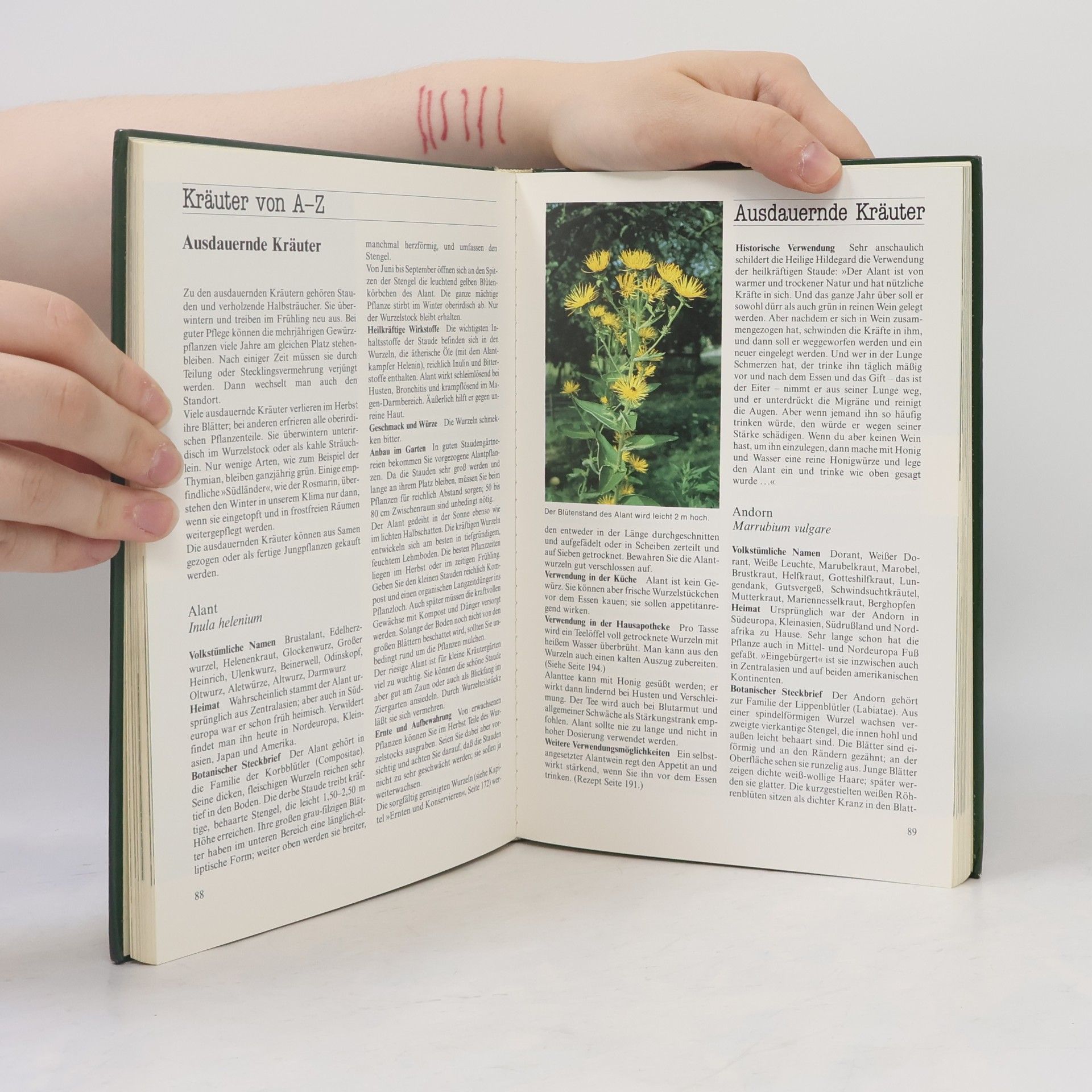 Marie-Luise Kreuter Kräuter und Gewürze aus dem eigenen Garten