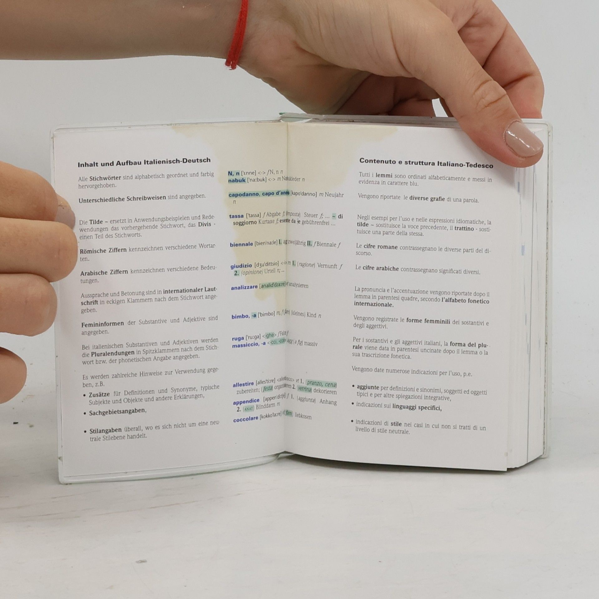 Anna Ferraris Kriis PONS Praxiswörterbuch