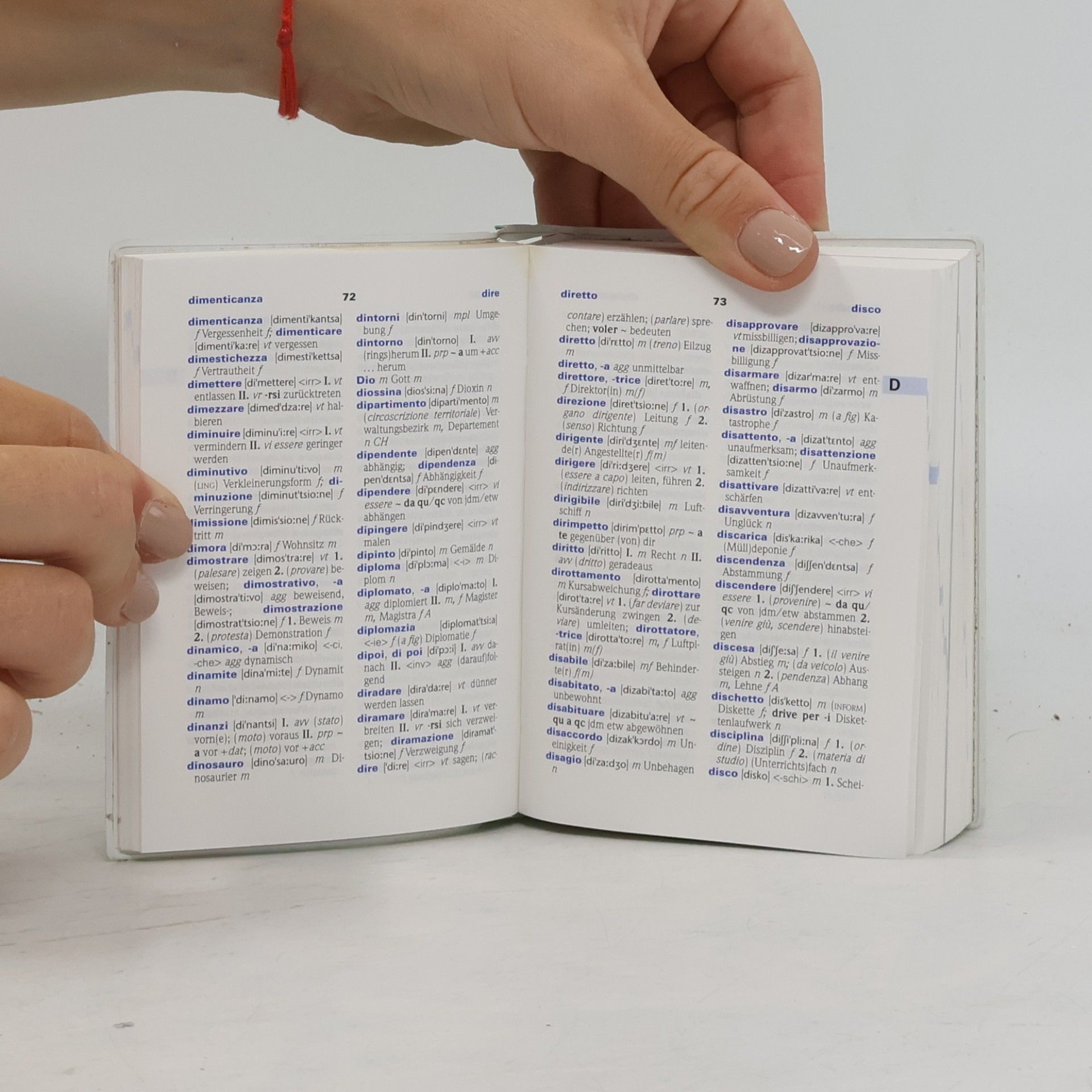 Anna Ferraris Kriis PONS Praxiswörterbuch