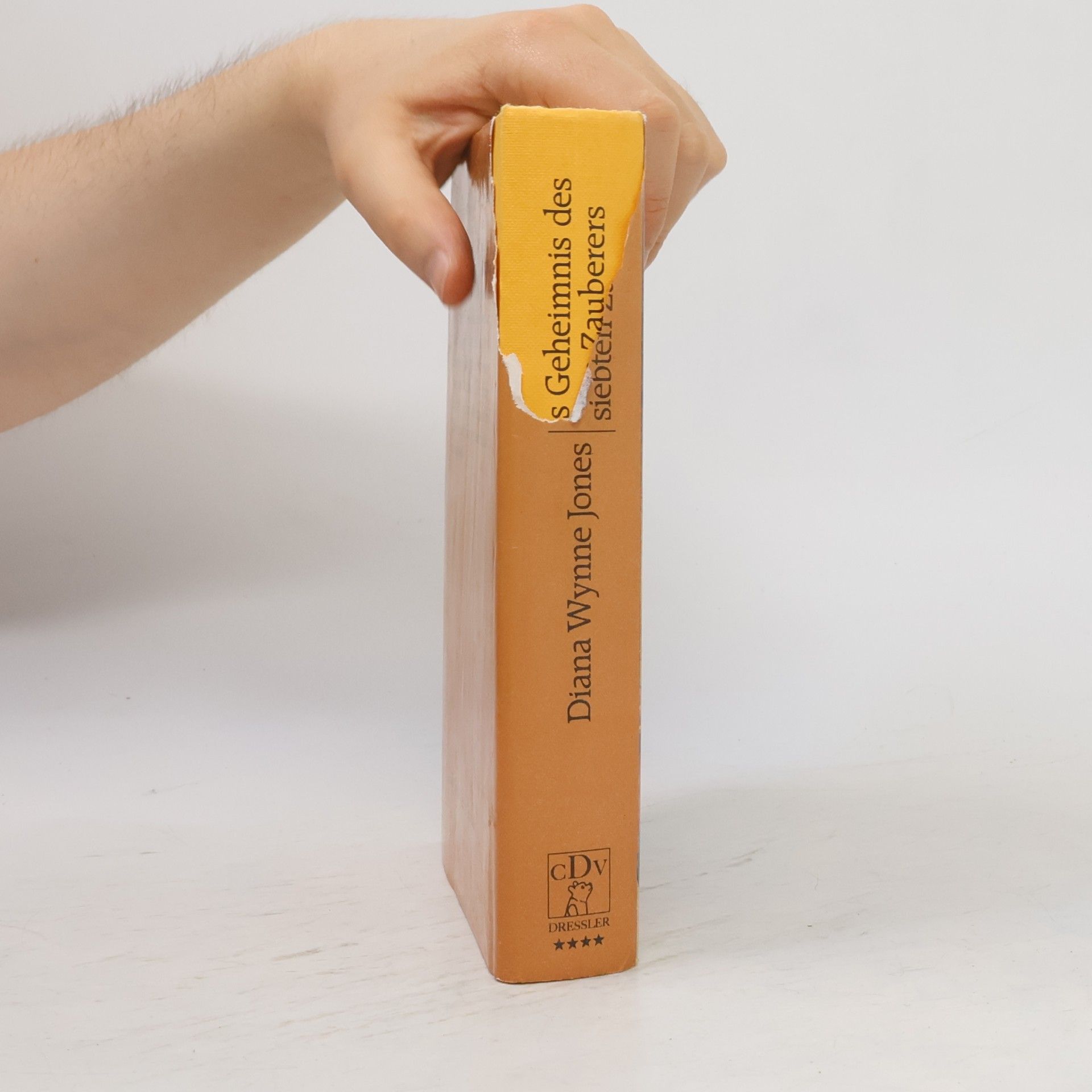 Diana Wynne Jones Das Geheimnis des siebten Zauberers
